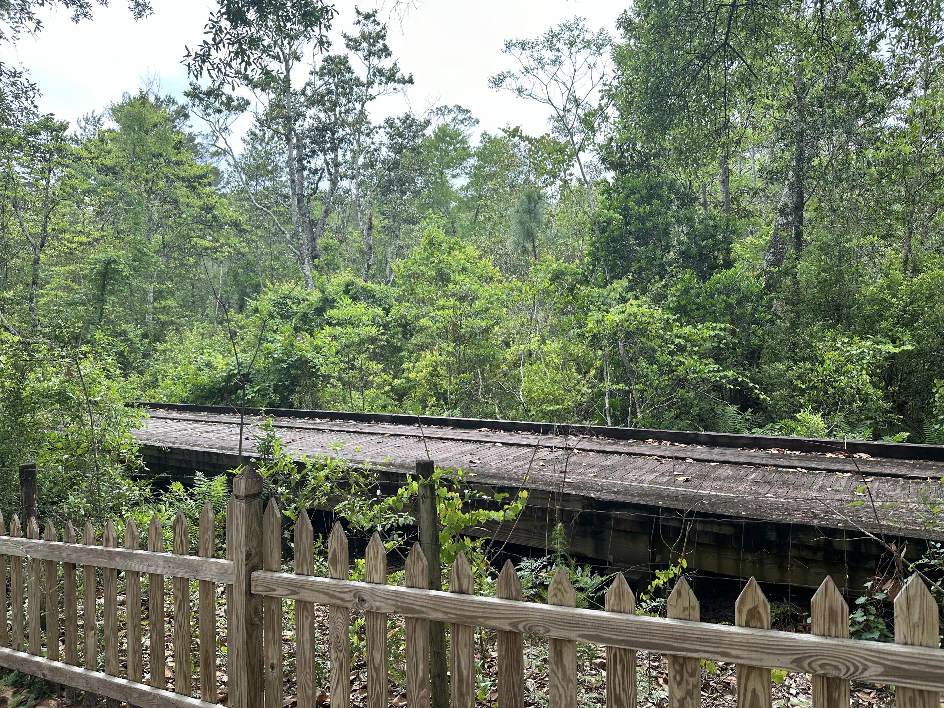 PARKWOOD ESTATES PH 1 BLUEWATER BAY - Residential