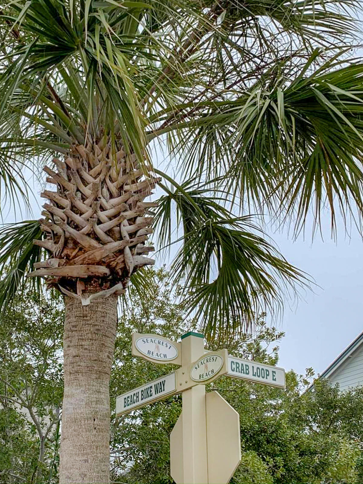 SEACREST BEACH PH 2 - Land