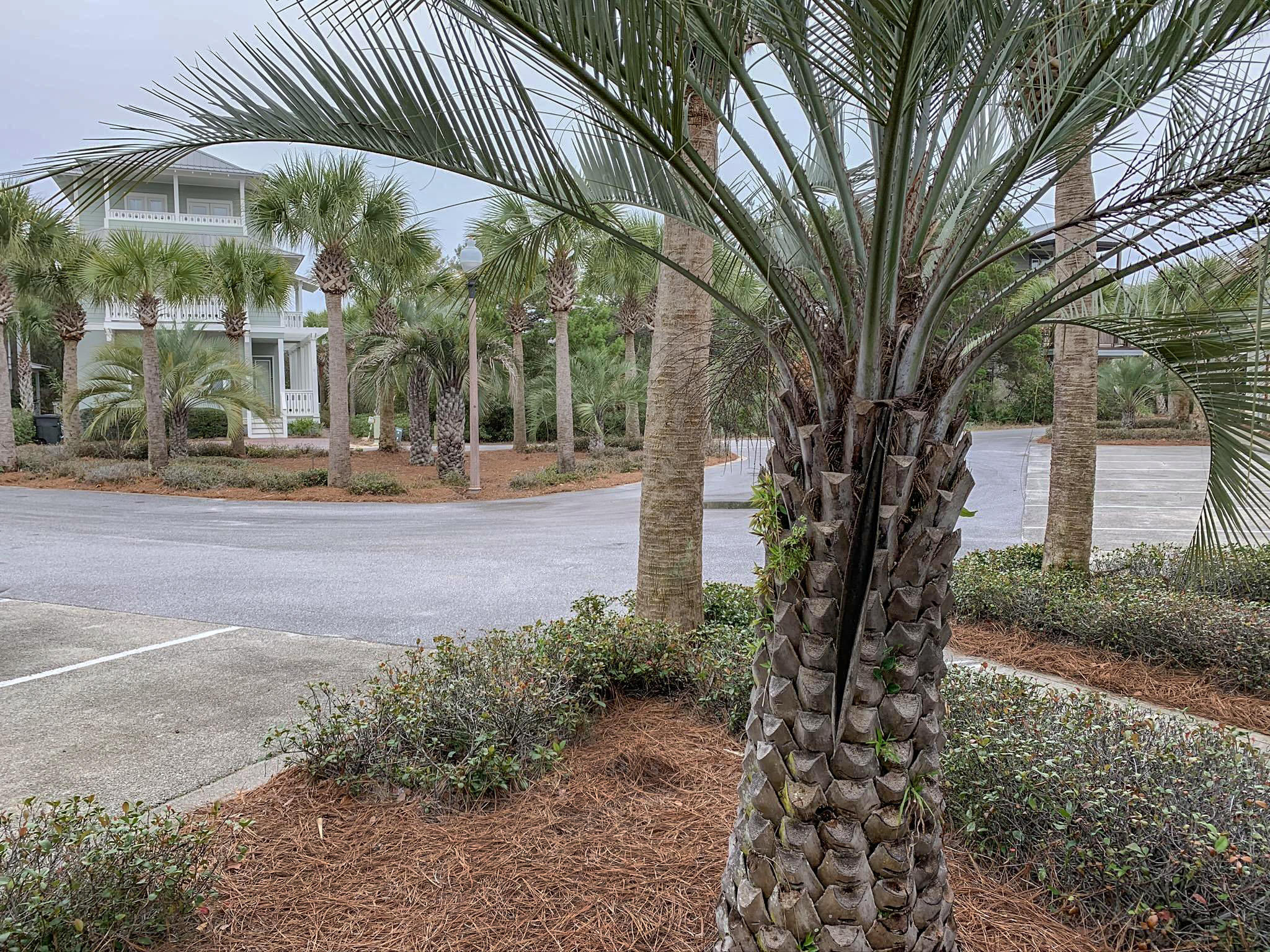 SEACREST BEACH PH 2 - Land