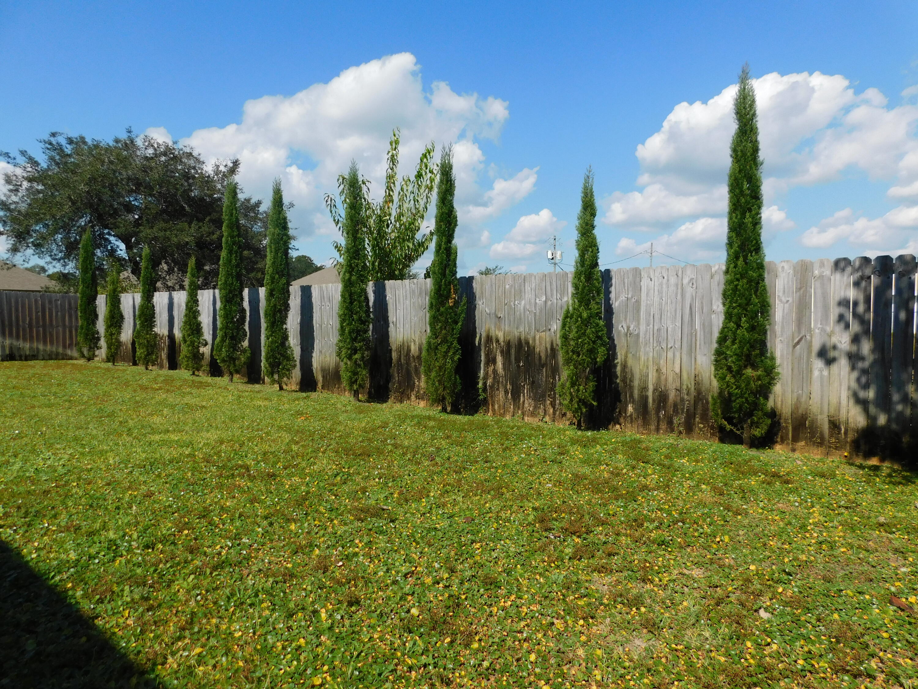 Majestic Oaks at Ocean City - Residential
