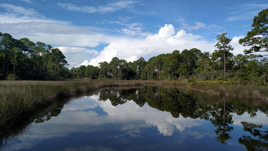 The salt life on the water with breathtaking views of the Choctawhatchee bay and Mack Bayou. Can you imagine waking up to dolphins swimming in your back yard? Jumping in your boat and taking a cruise to your favorite restaurant. Enjoying the sunset from your living room on the water. Imagine how this will change your life. This lot includes a check list of must haves. Sea wall ,Raised elevation,Slip/Dock , All water/sewage/cable on lot hook up tap fees payed for sewage,Paved road ,Gated community and the lifestyle you're looking for. Let's do the math, you save a minimum of $10,000,00 for each included item. That's $60,000 ''included''. See additional Lots and combine your purchased in group. Deep water access. Arboleda Estates community is located only 5 miles to 30A beach access