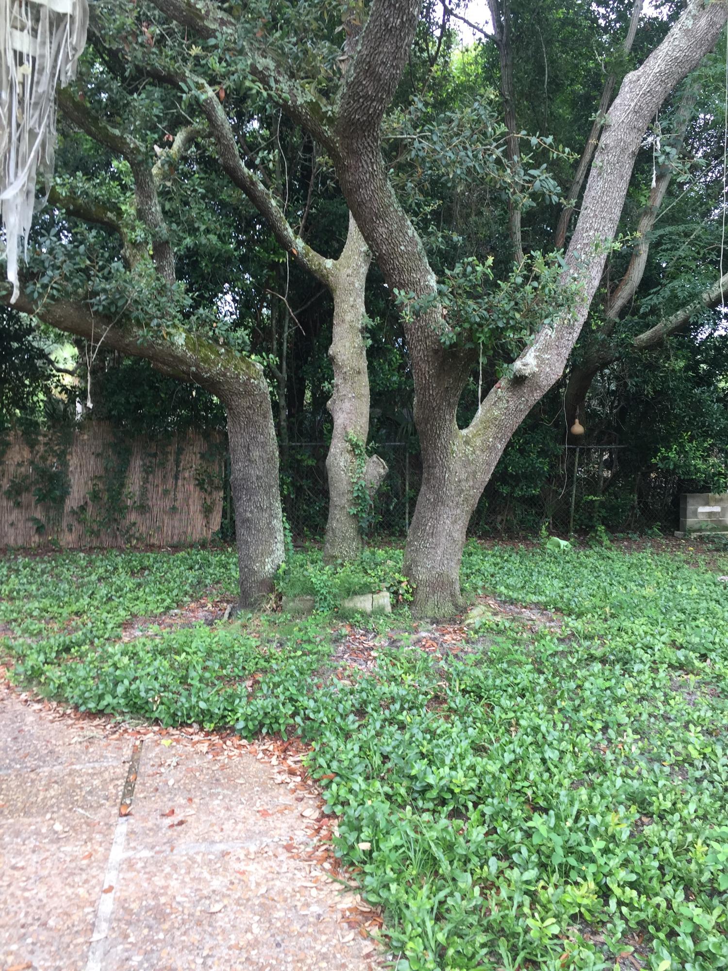 ELLIOTTS POINT 4TH ADDN - Residential