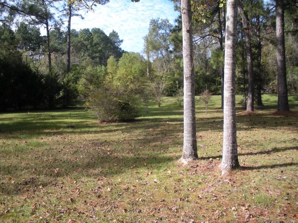 Spring Lake Estates - Residential