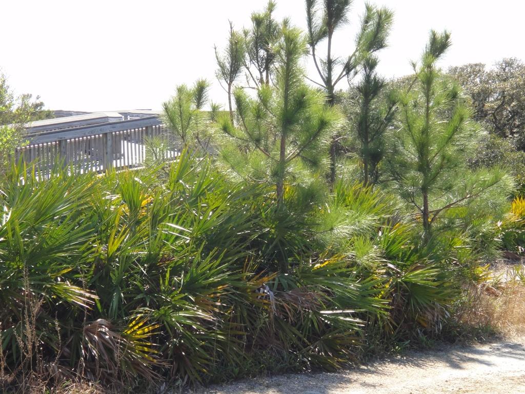 Heron Crossing - Residential