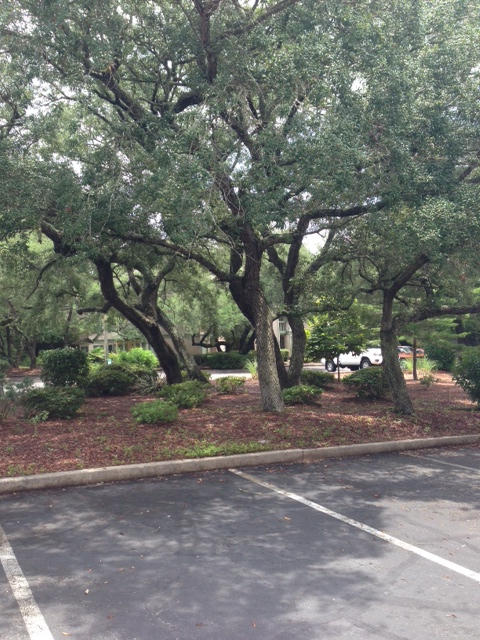 GARDEN OAKS CONDO - Residential