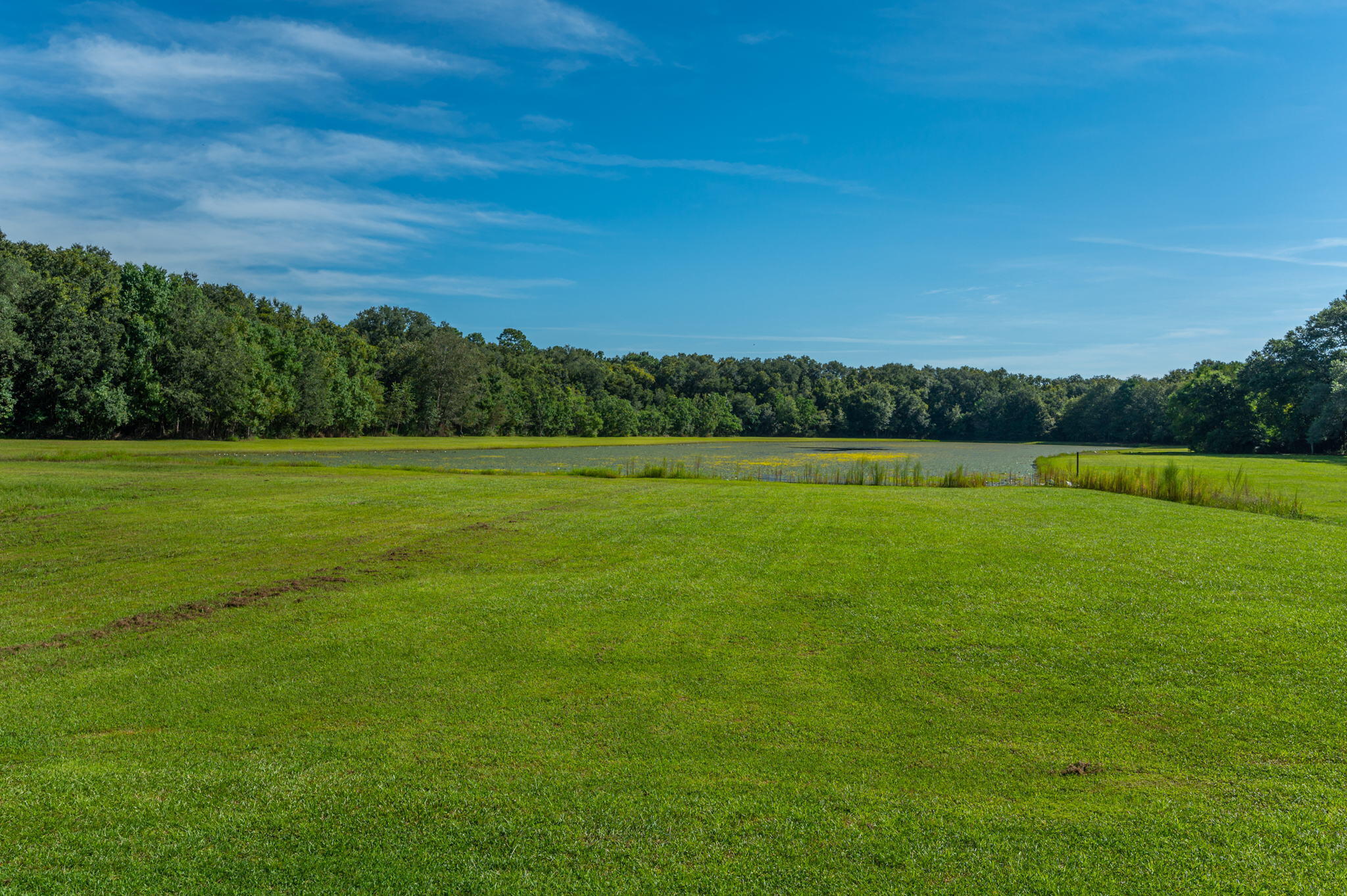 STAFFORD ESTATES - Residential
