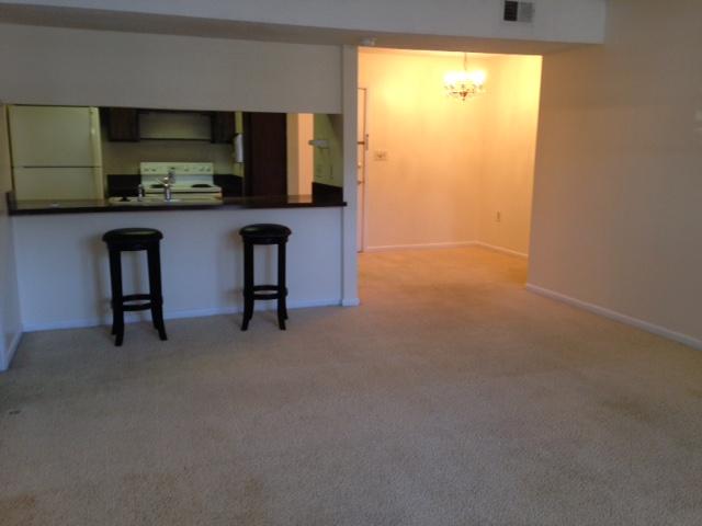 FAIR OAKS VILLAGE CONDO - Residential