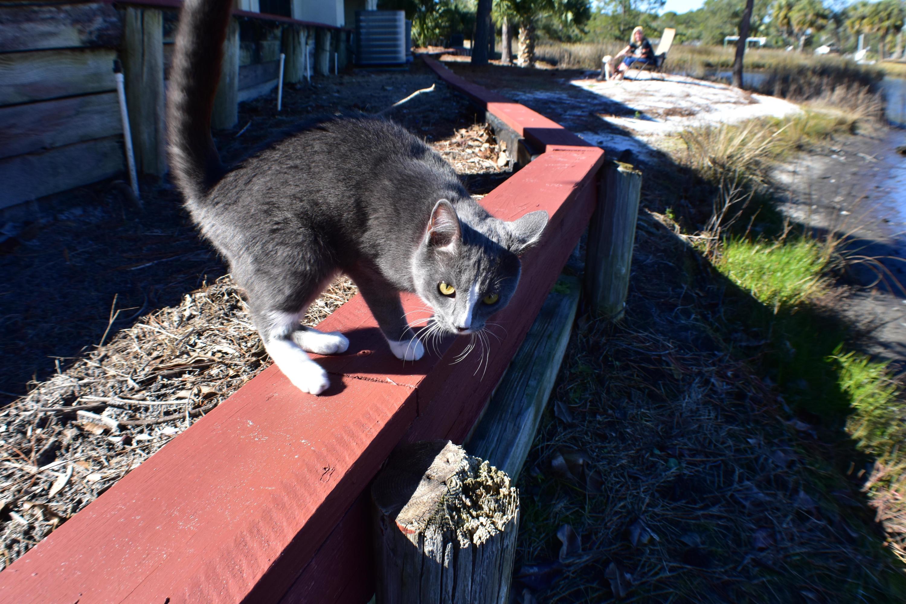Villas of St Thomas - Residential