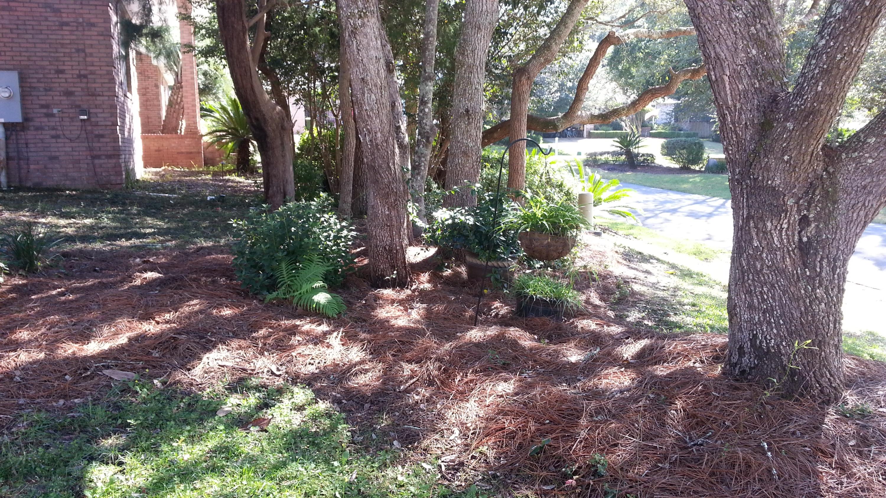 PARKWOOD ESTATES PH 1 BLUEWATER BAY - Residential