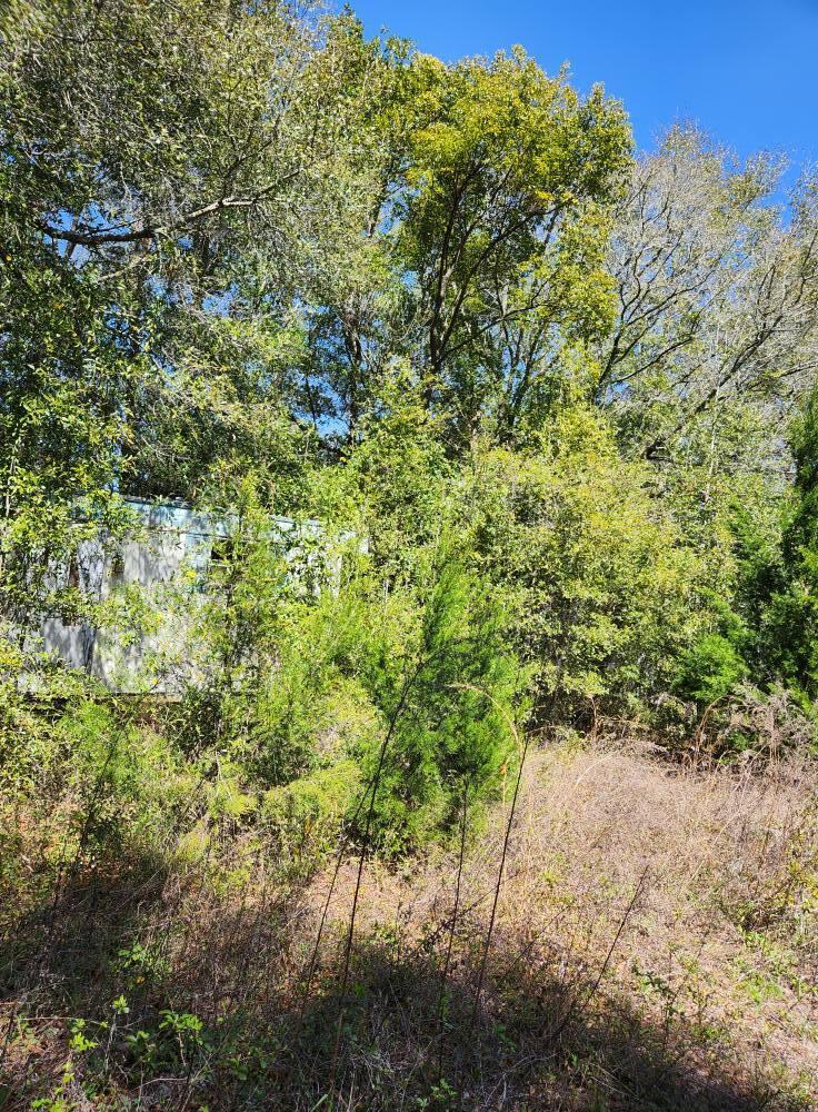 This is an old trailer park. It has 6 old trailers in it three on each side with a road down the middle. Unsure of the number of septic tanks but they have city water available. County says if it has continuously been used as a trailer park, and it has. It may continue, however NO MORE than 6 can be in the park. Pull one out and put one back. Will require a permit, and proper installation.Buyer to VERIFY all prior to closing. I have called them twice and this is what I was told. Sellers are both licensed real estate agents in the State of Florida.
