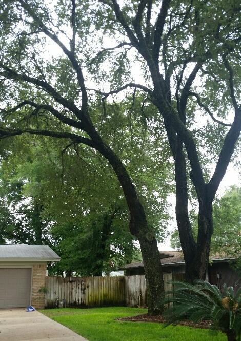 KENWOOD S/D 2ND ADDN - Residential