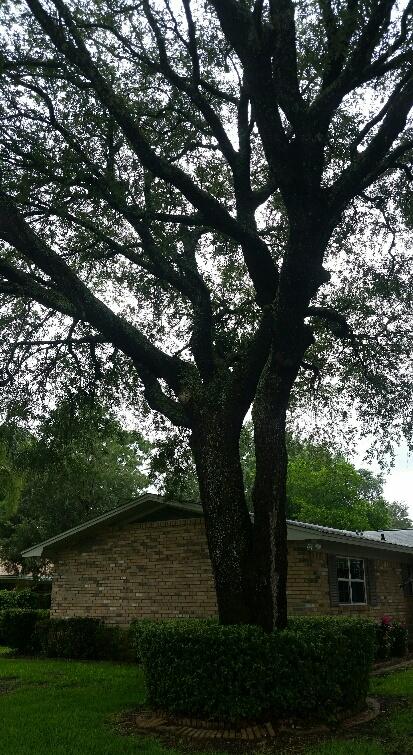 KENWOOD S/D 2ND ADDN - Residential