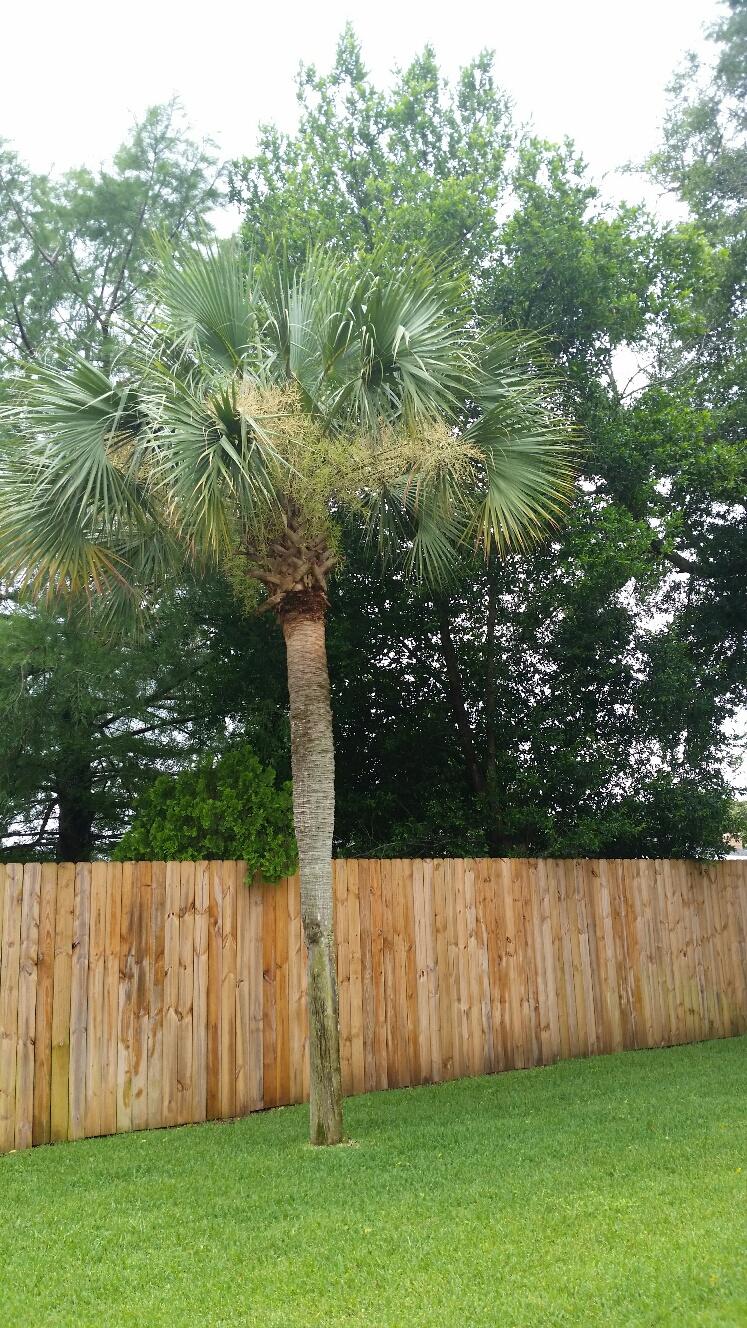 KENWOOD S/D 2ND ADDN - Residential