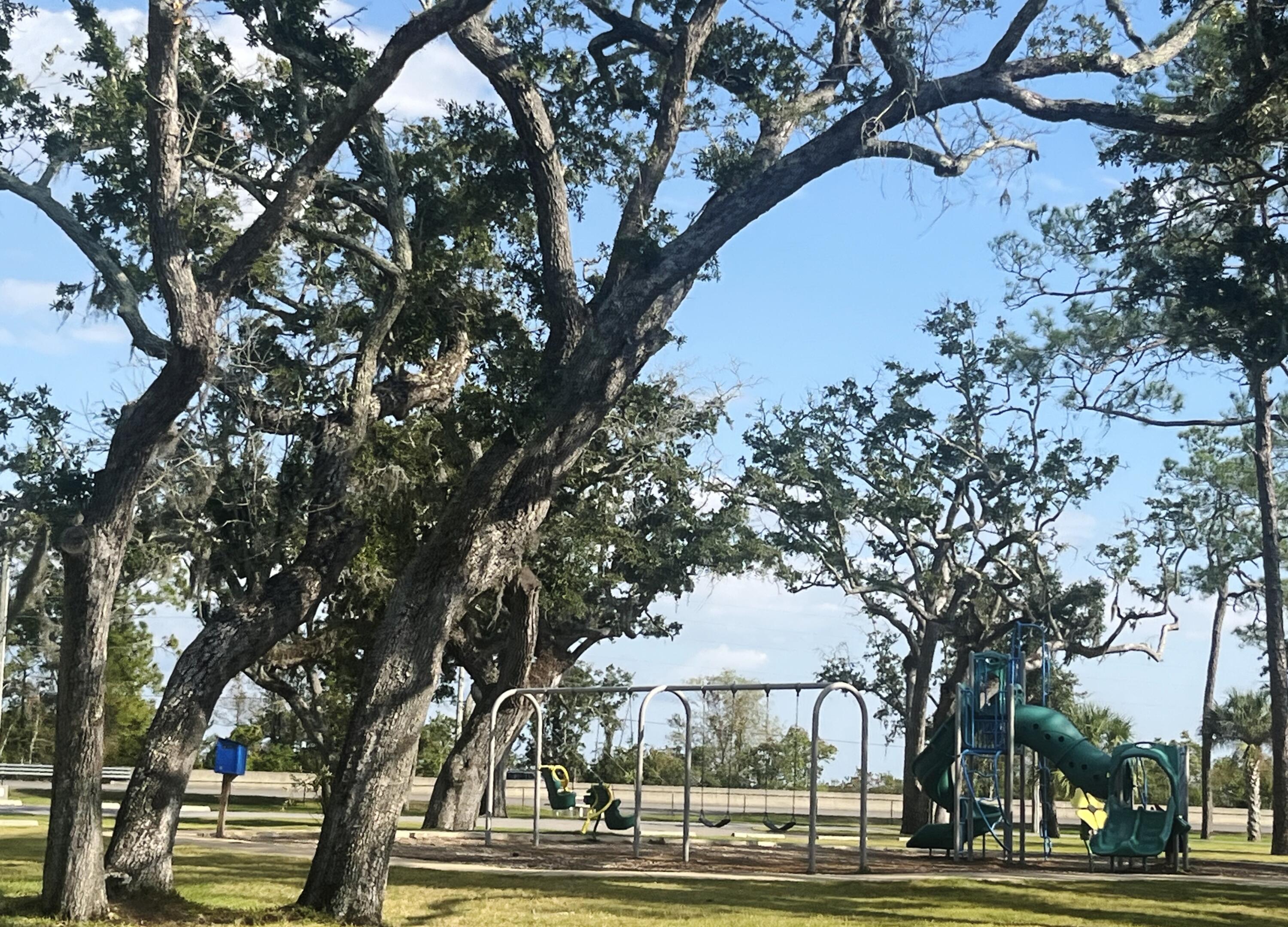 BAY GROVE - Land