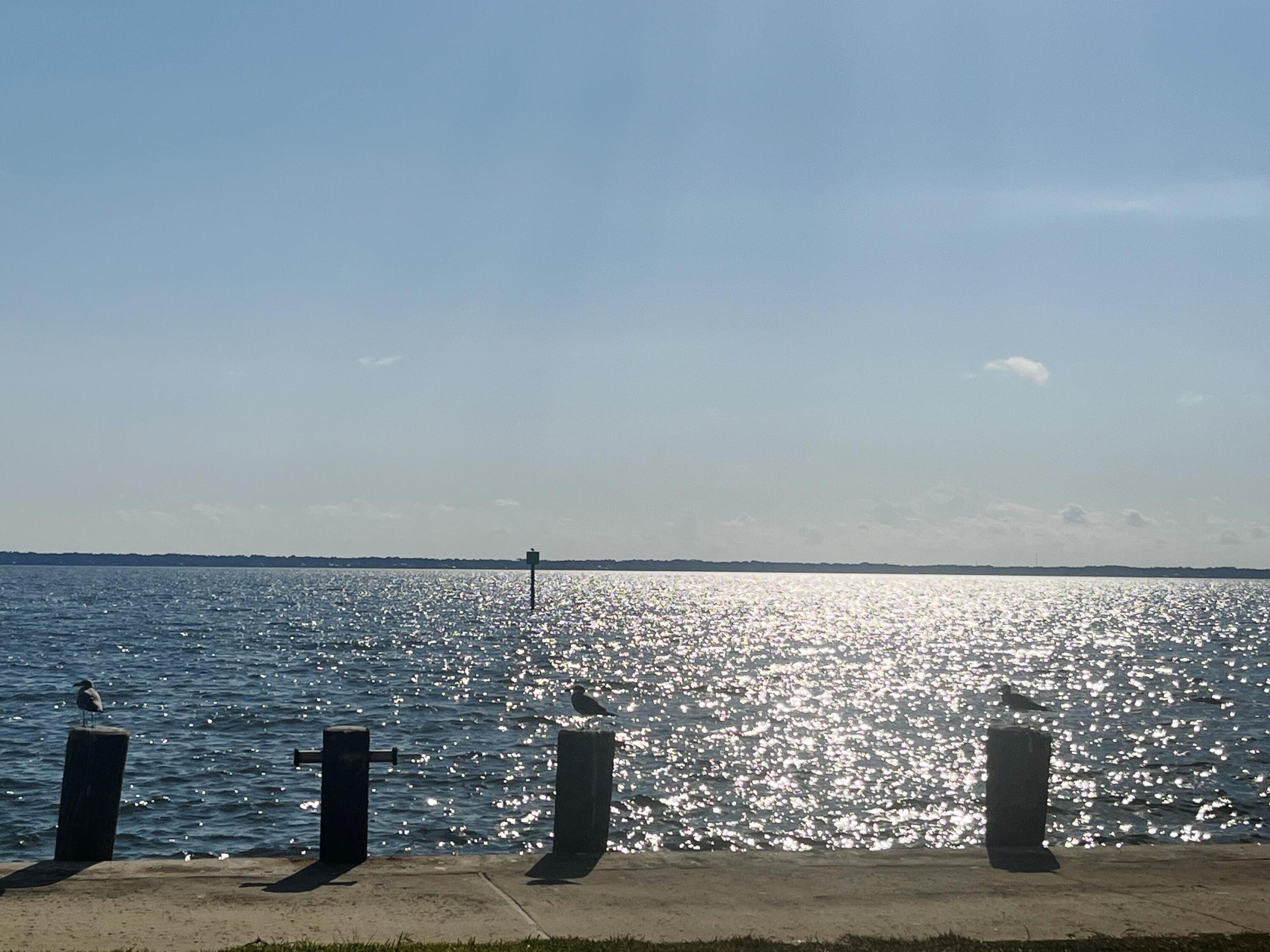 BAY GROVE - Land
