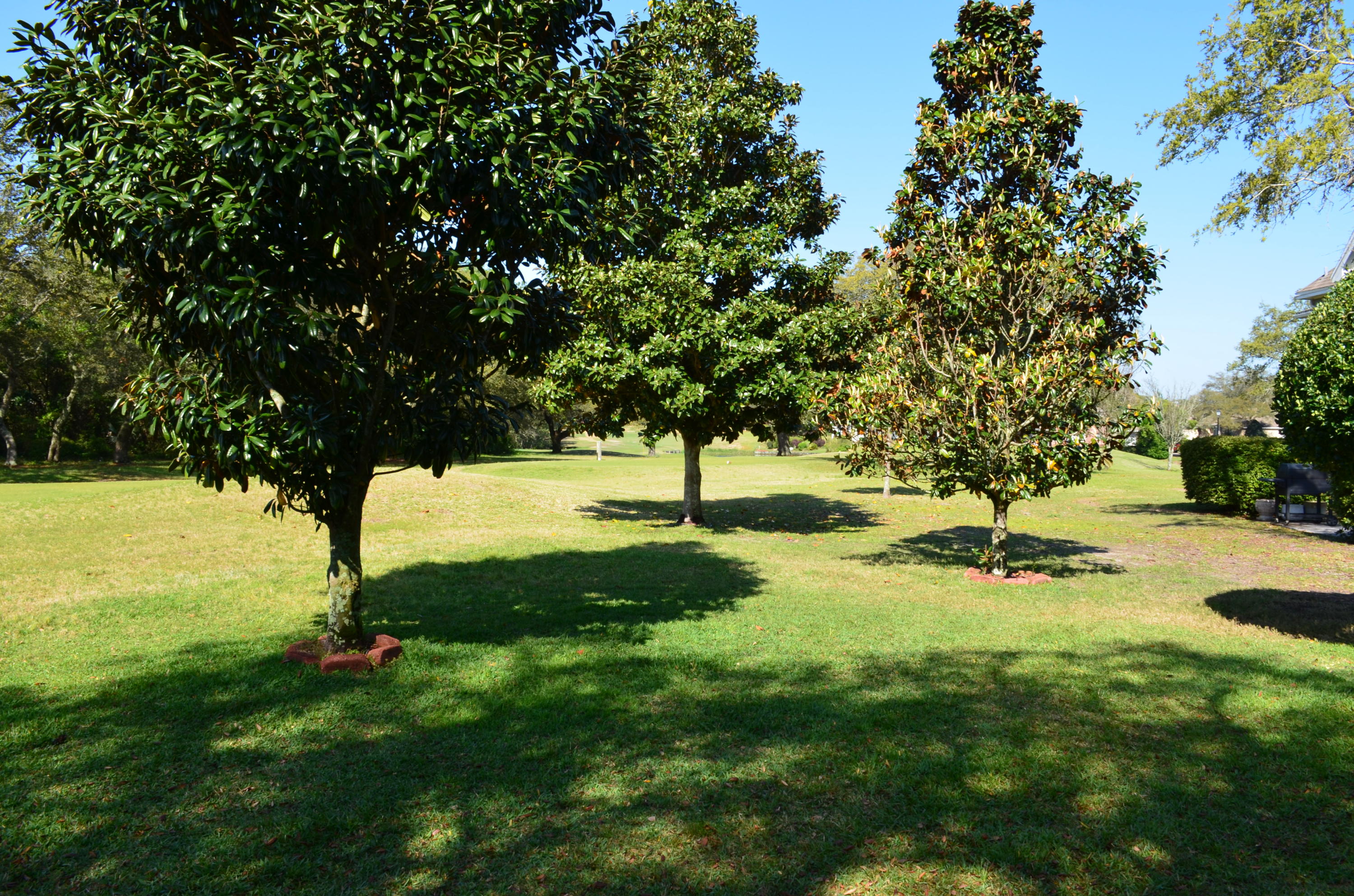 SHALIMAR POINTE PH 1 - Residential