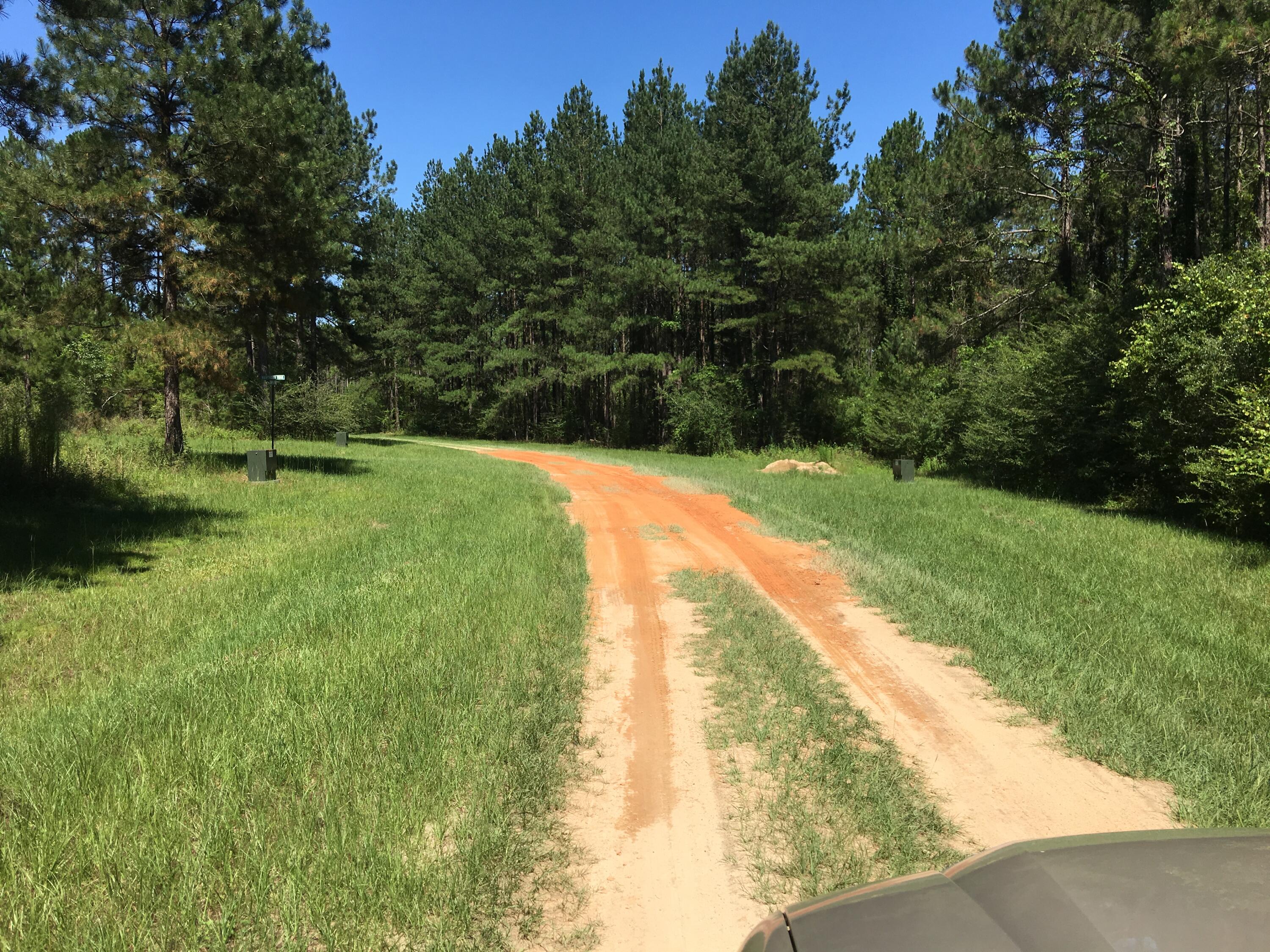 Canopy Crossing - Land