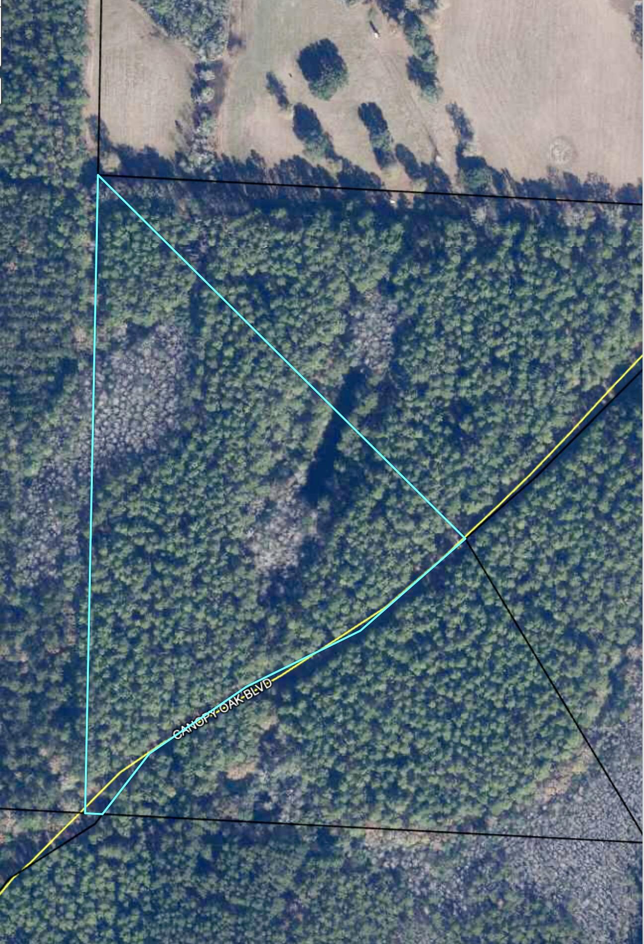 Canopy Crossing - Land