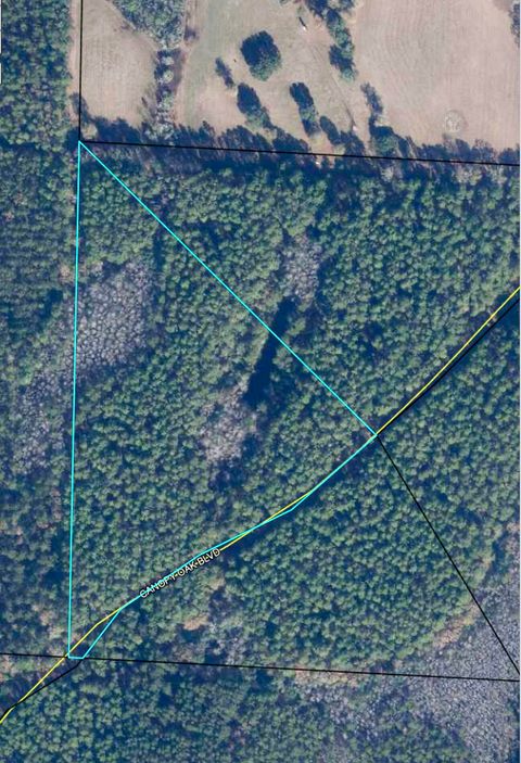 Photo of 5 Canopy Oaks Blvd, Bonifay, FL 32425 (MLS # 990110)