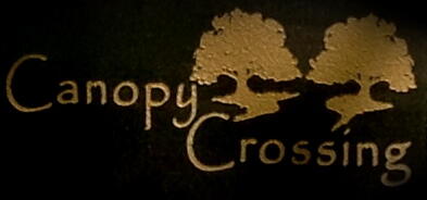 Canopy Crossing - Land