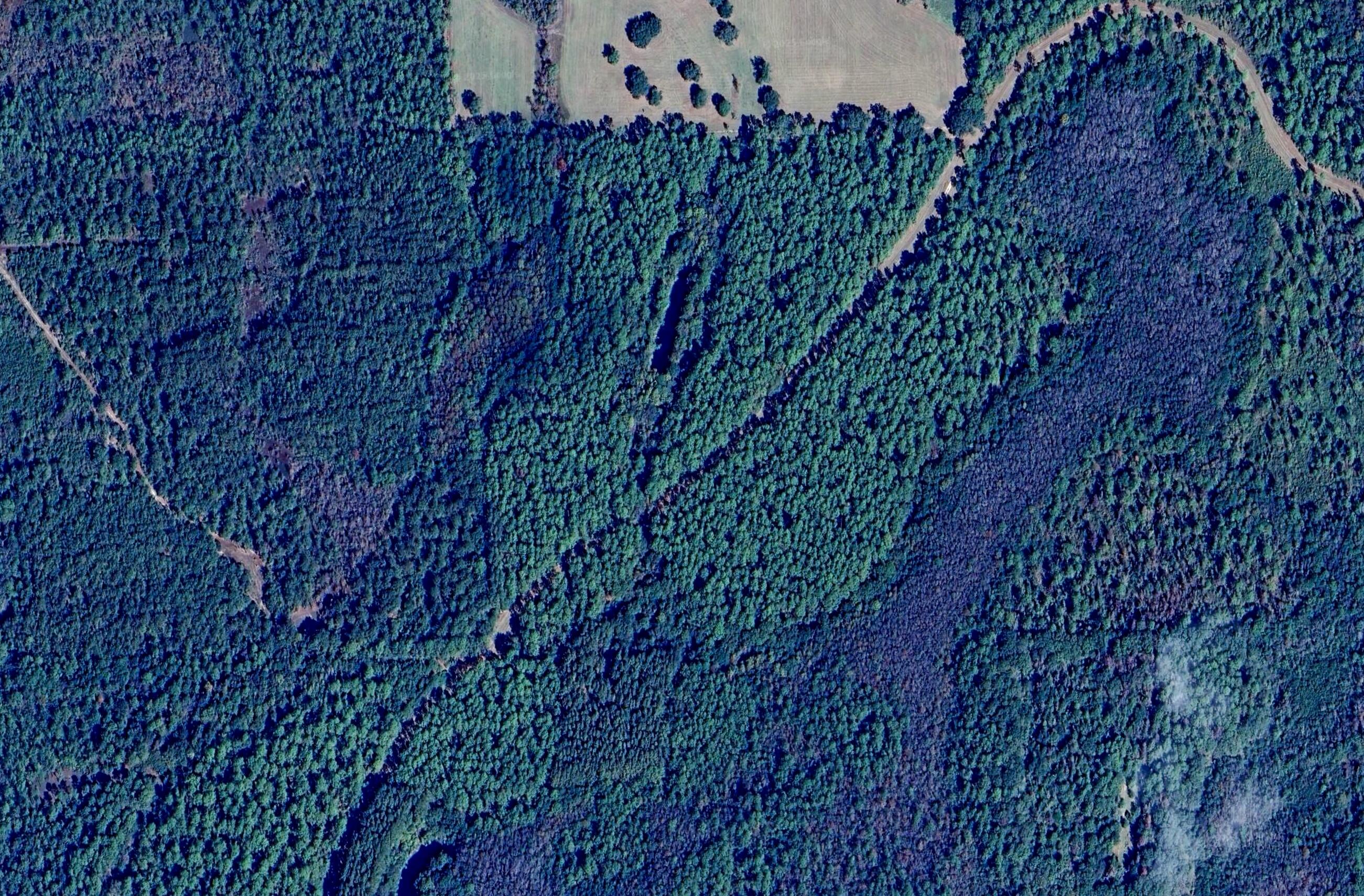 Canopy Crossing - Land