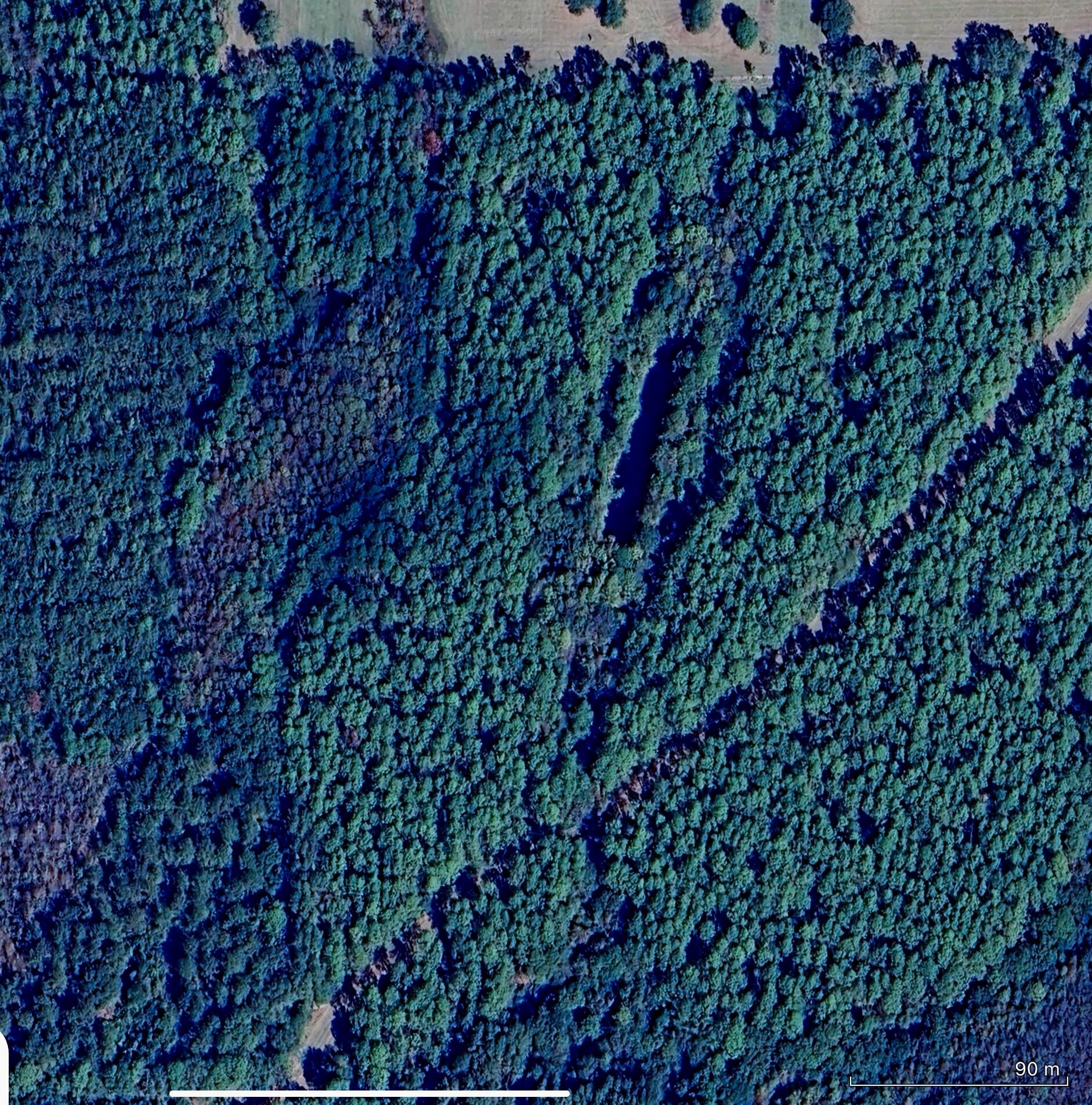 Canopy Crossing - Land