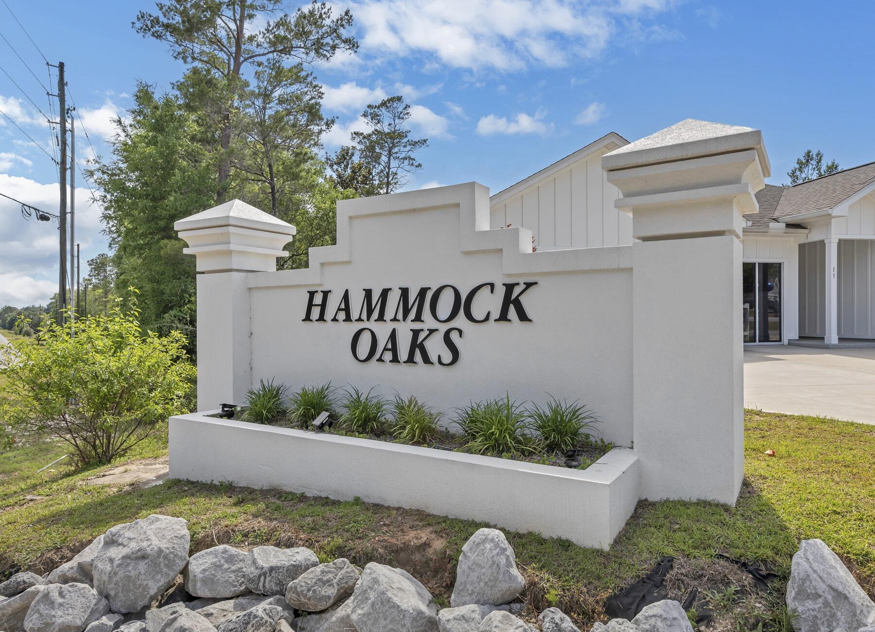 Hammock Oaks Estates - Residential