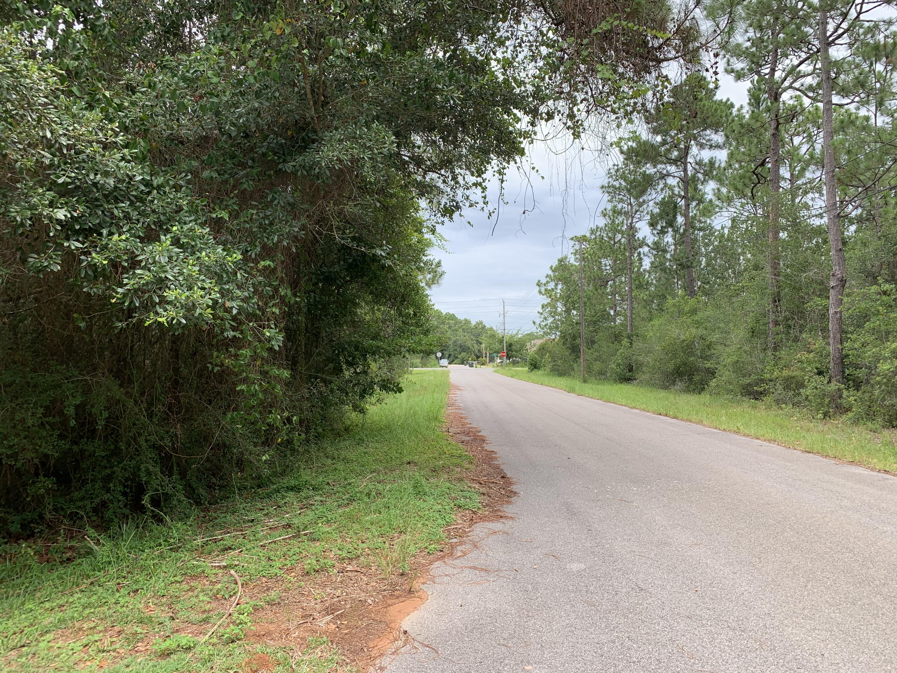 AVALON BEACH - Residential