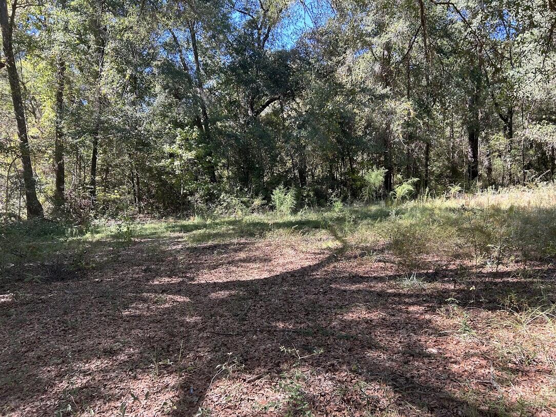 Lot in city limits of Ponce de leon one block away from Hwy 81. Property is mostly cleared. Older mobile home has been removed. New power pole installed recently. Property has city water and sewer present. Everything ready and waiting for you to build or put a mobile home there. Walking distance to convenience store, grocery store, and post office.