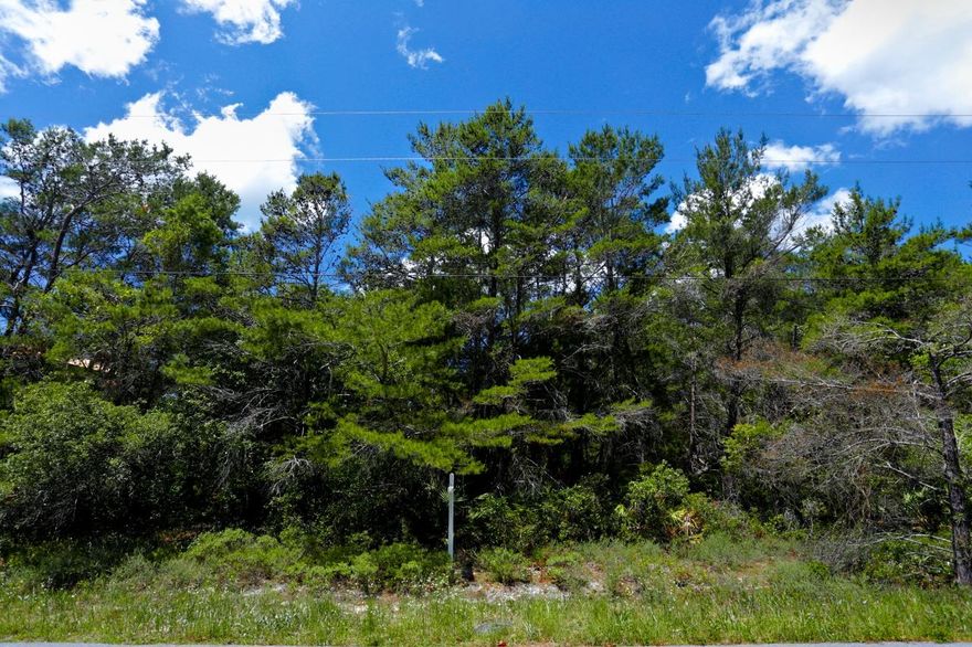 Nice wooded lot just off of Scenic Highway 30A in Seacrest Beach. Lot is ~0.24 acres and within 1/2 mile from Camp Creek Golf Course and 2 miles from Rosemary Beach. Public beach access is just down the street (at the end of Seacrest Drive) along with the infamous bike & pedestrian path on Scenic Highway 30A. This lot is in a quiet community with no HOA fees and is the perfect place to build your dream home! Lot is large enough to accommodate a home, carriage house and pool. The Village of South Walton is a few minutes away and deemed ''Seacrest Town Center.'' Cute shops & restaurants include local favorites like Ophelia Swimwear, La Cocina and Bentley's. This is a fabulous location near neighboring upscale communities Rosemary & Alys Beach. Start living the coastal lifestyle today!