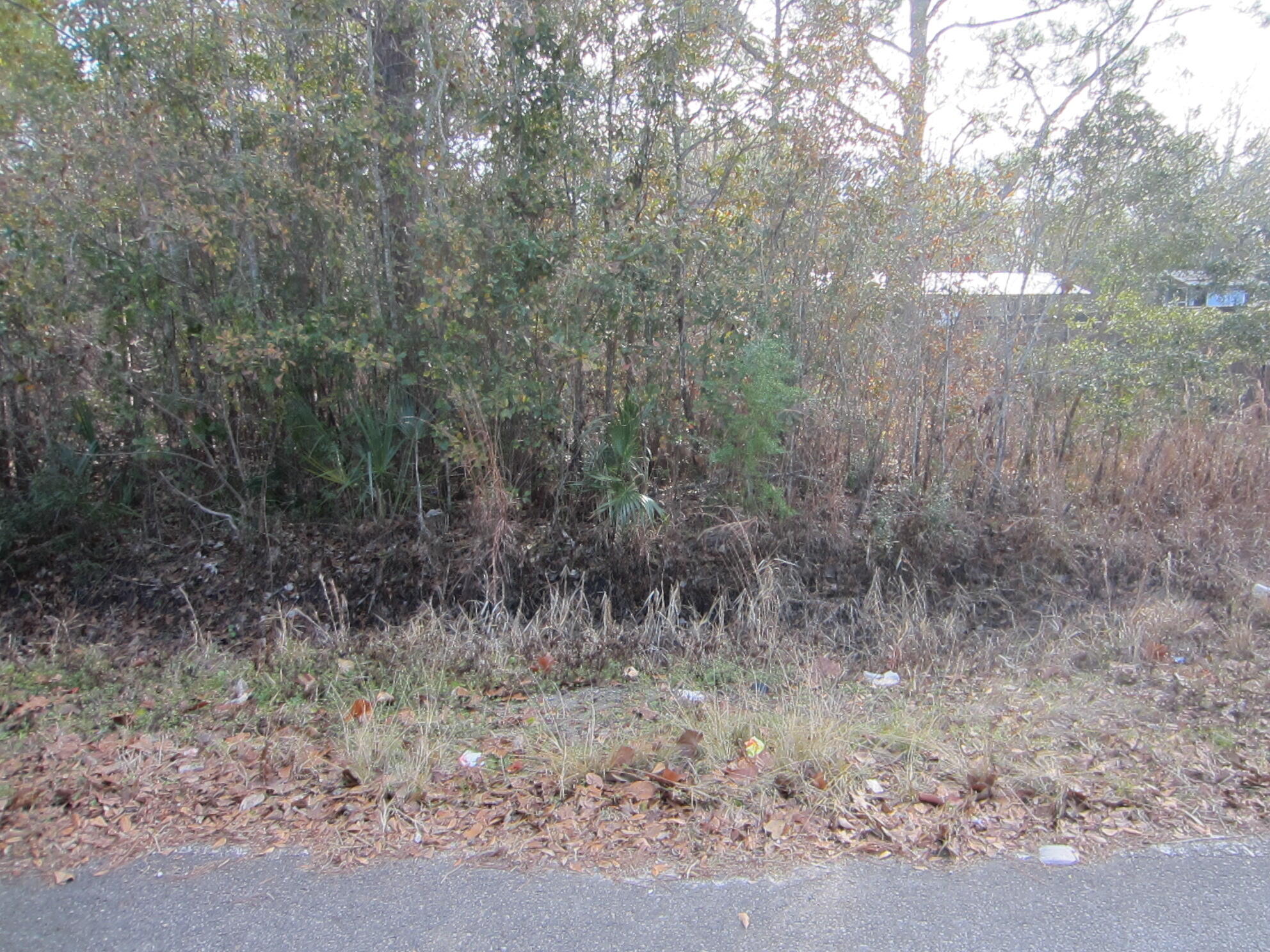 Vacant Lot only steps from Walton County Grady Brown Park & the beautiful Choctawhatchee Bay.  This rapidly developing area is perfect for that person that would like to launch his boat, fish, or swim just steps from home.  There is no HOA so the home you wish to place on this lot gives you several options.  Paved street, public water & sewer available.  Location also only minutes from South Walton.