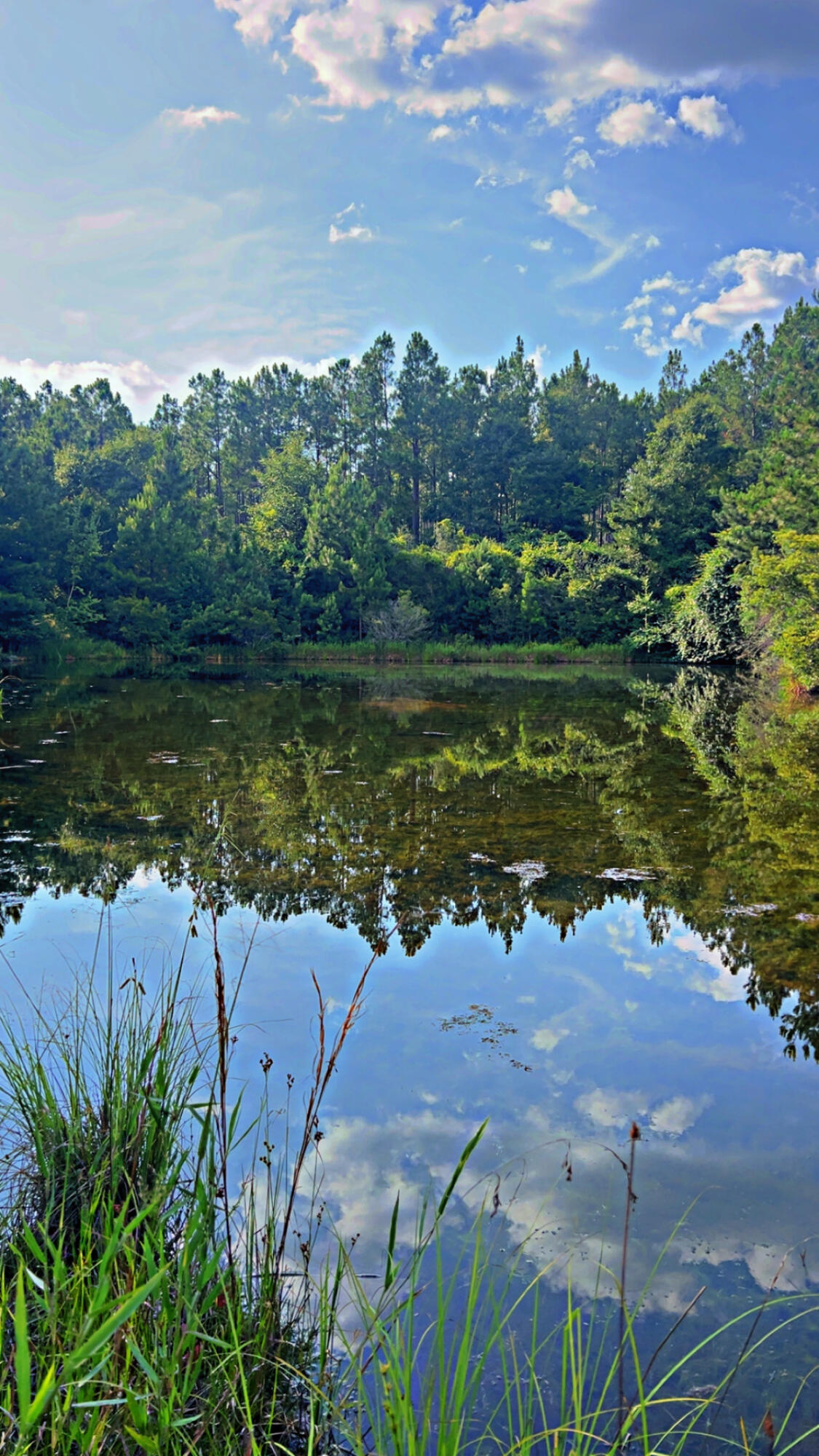 Prime 363+- Acre Timber & Recreational Tract - Merchantable Timber, Pond, and More!Discover the perfect blend of investment and recreation with this exceptional 363+/- acre tract of land, offering privacy, natural beauty, and income-producing potential. This tract is easily accessed with paved frontage on 2 sides, this expansive property features approximately 269 acres of merchantable timber, providing a substantial opportunity for immediate or future timber harvest.The landscape is beautifully diverse, featuring rolling terrain, mature hardwoods and pines, and multiple ideal pond sites throughout the property. One established pond is already in place, adding to the scenic value and offering year-round water access for wildlife, fishing, or future development.