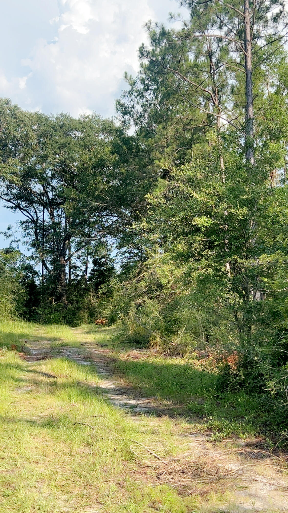 363 Acres FL-85