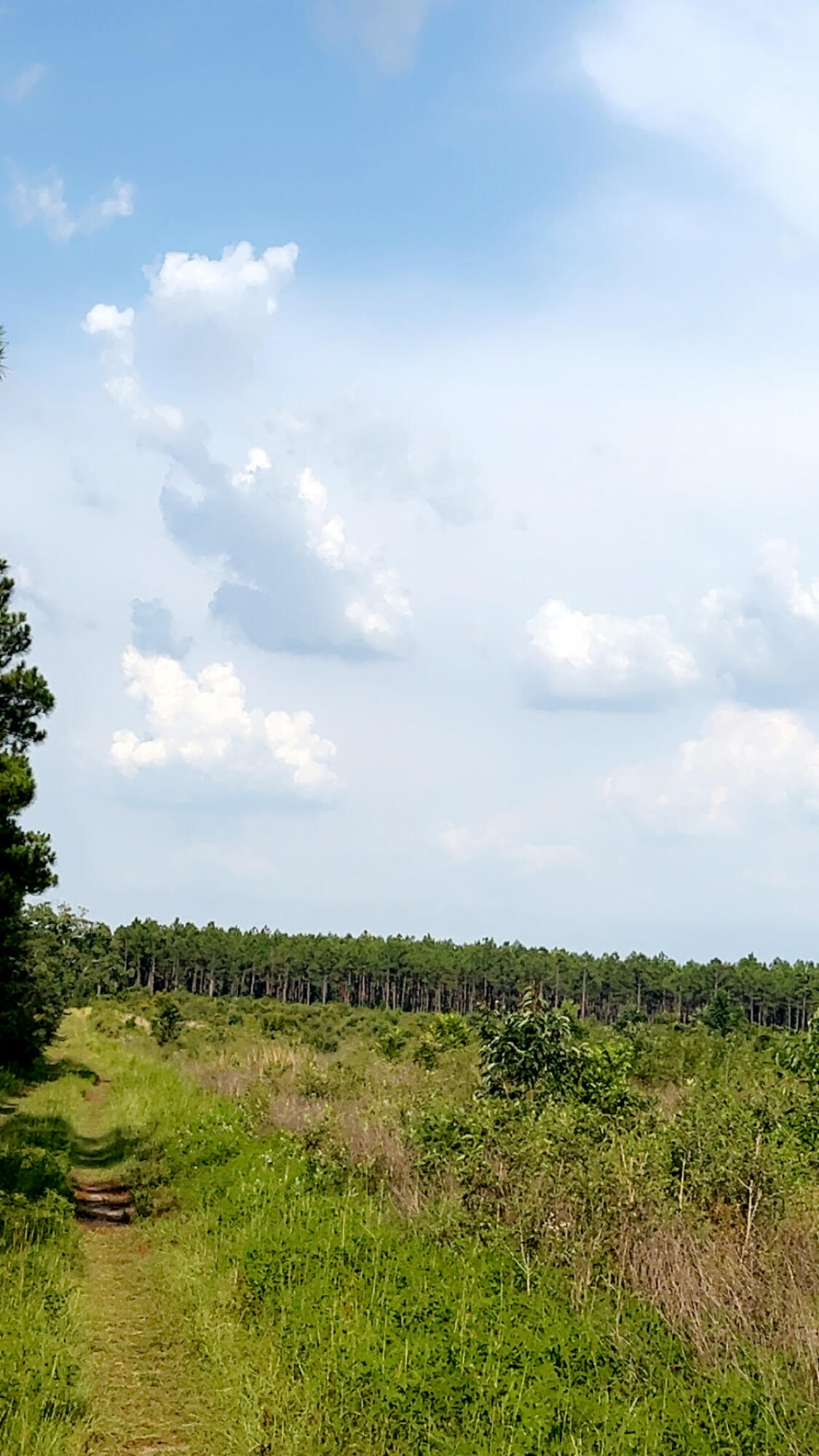 221000.00 - Land