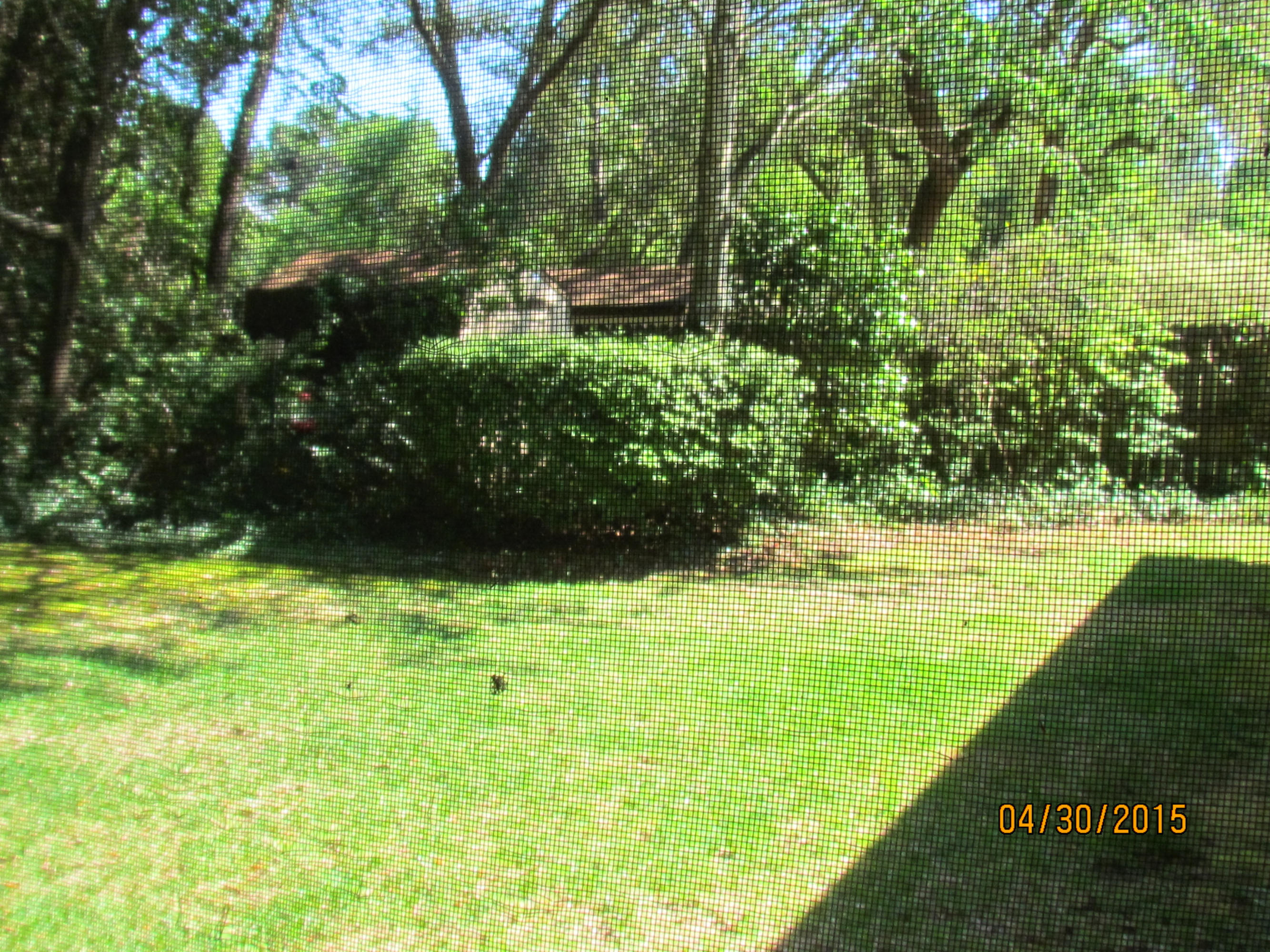 CARIBBEAN VILLAGE EAST 2 - Residential Lease