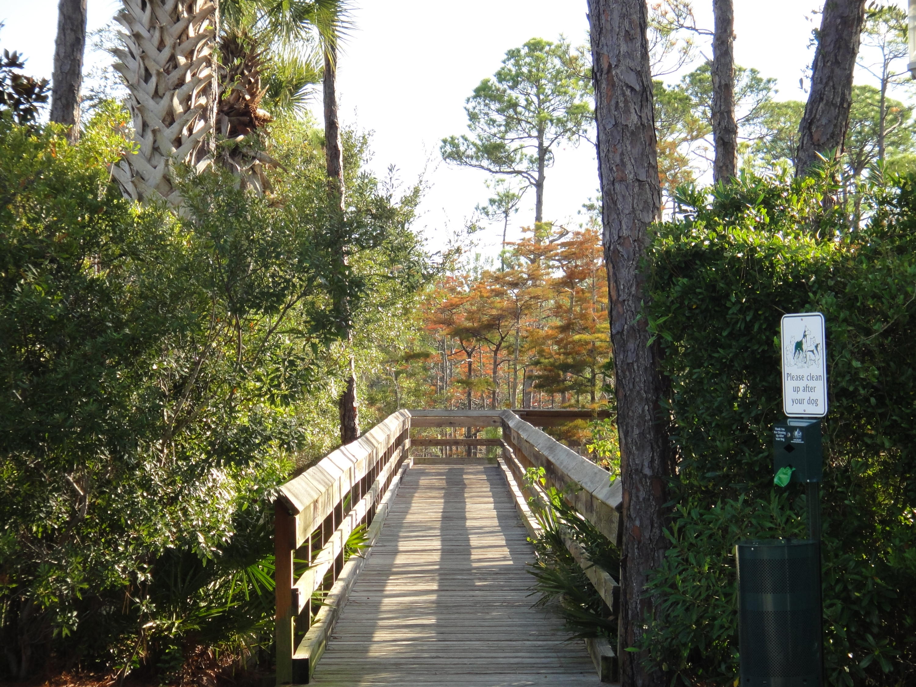 CYPRESS DUNES - Land
