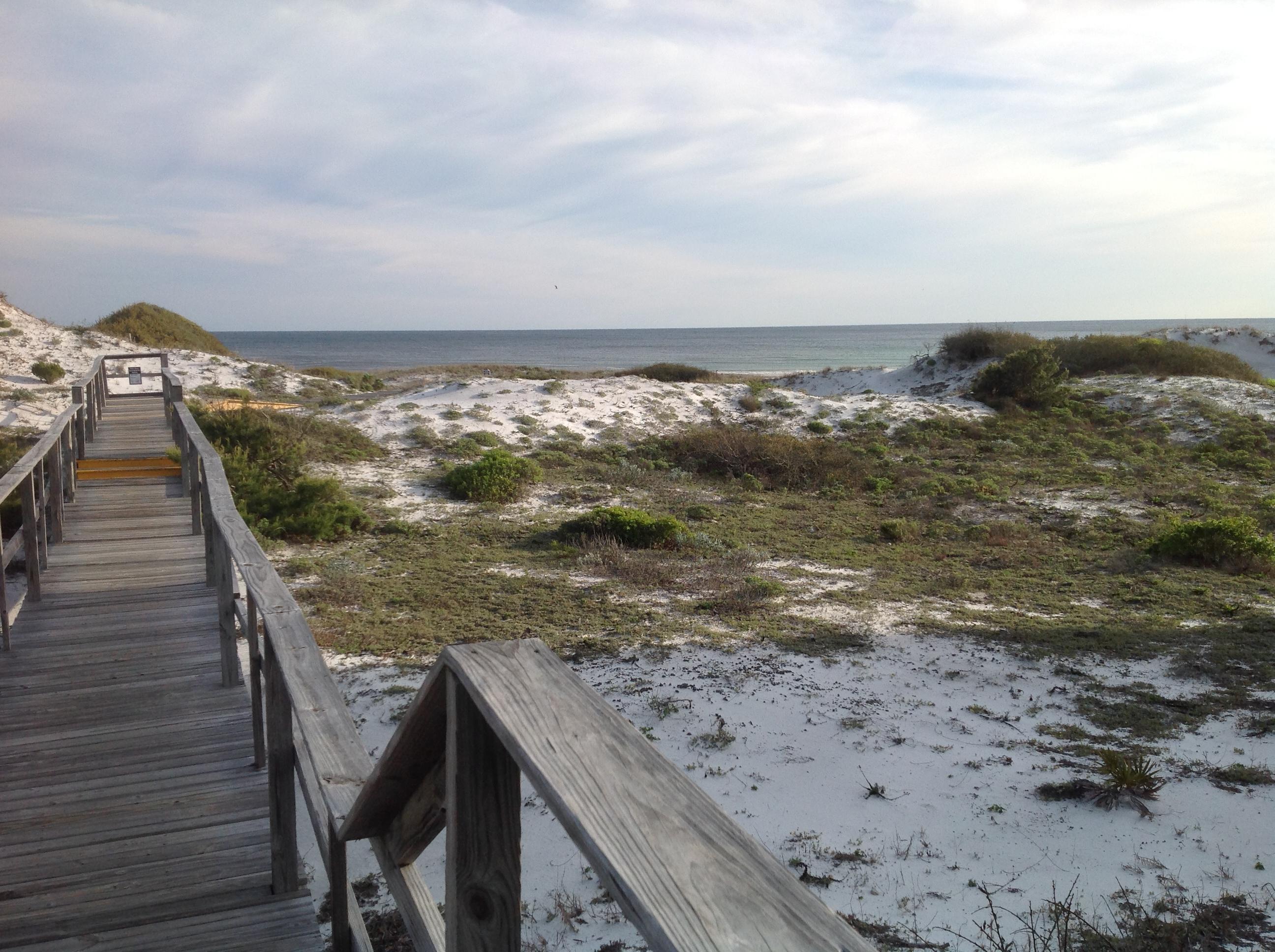 THE PRESERVE AT GRAYTON BEACH - Land