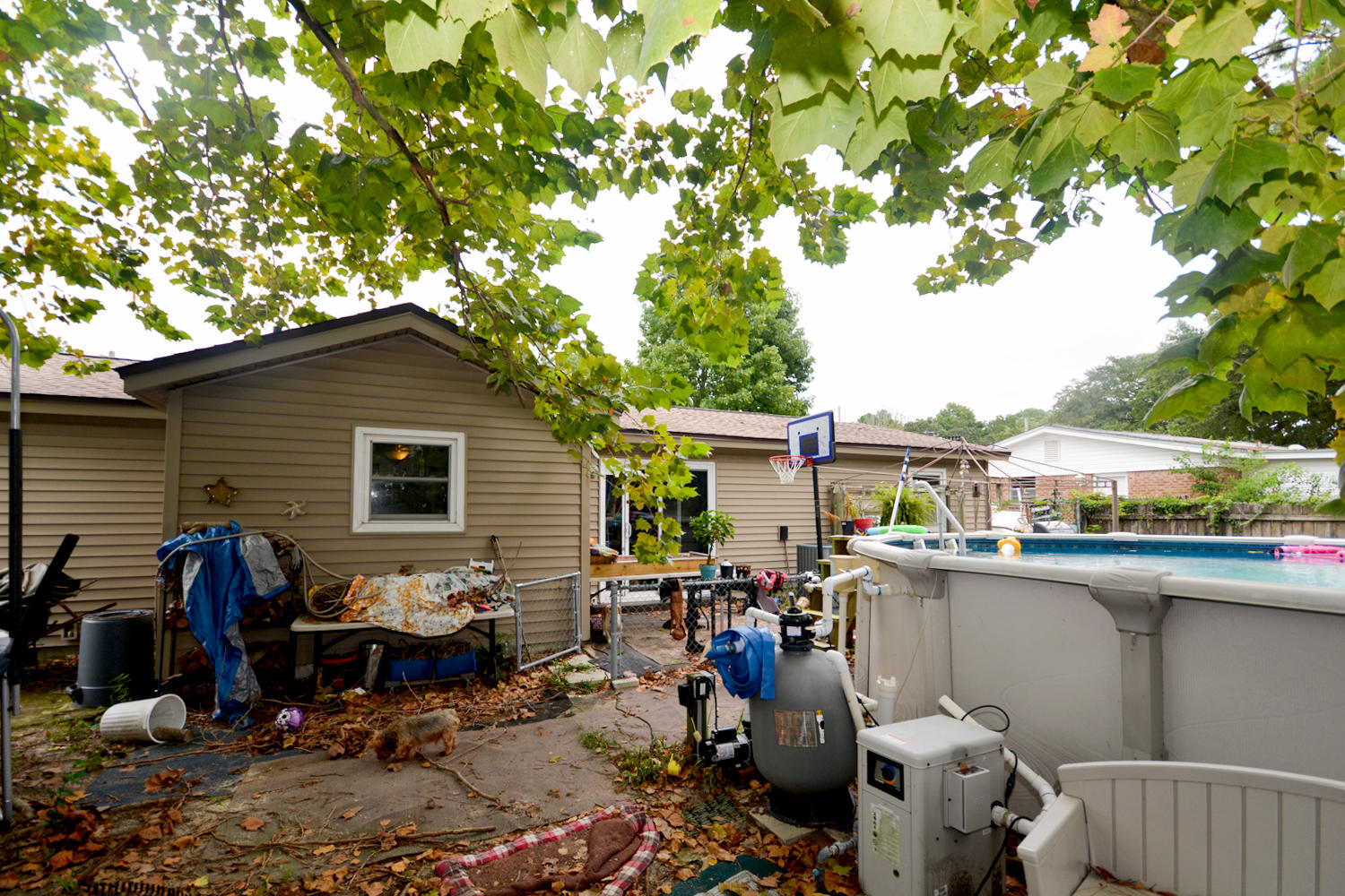 SPRINGDALE - Residential