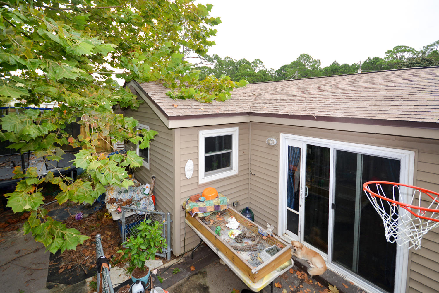 SPRINGDALE - Residential