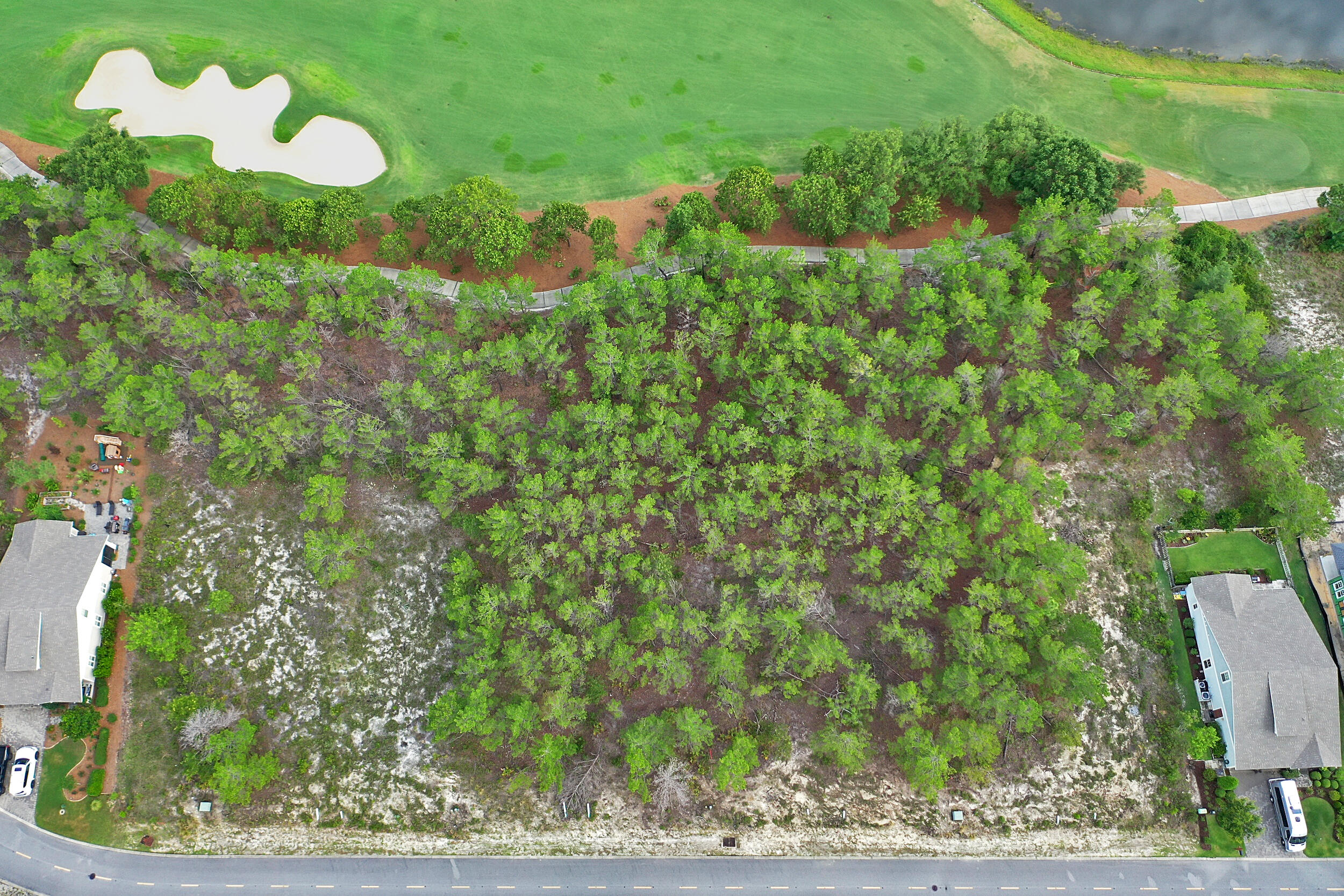 Wild Heron Phase XIV - Land