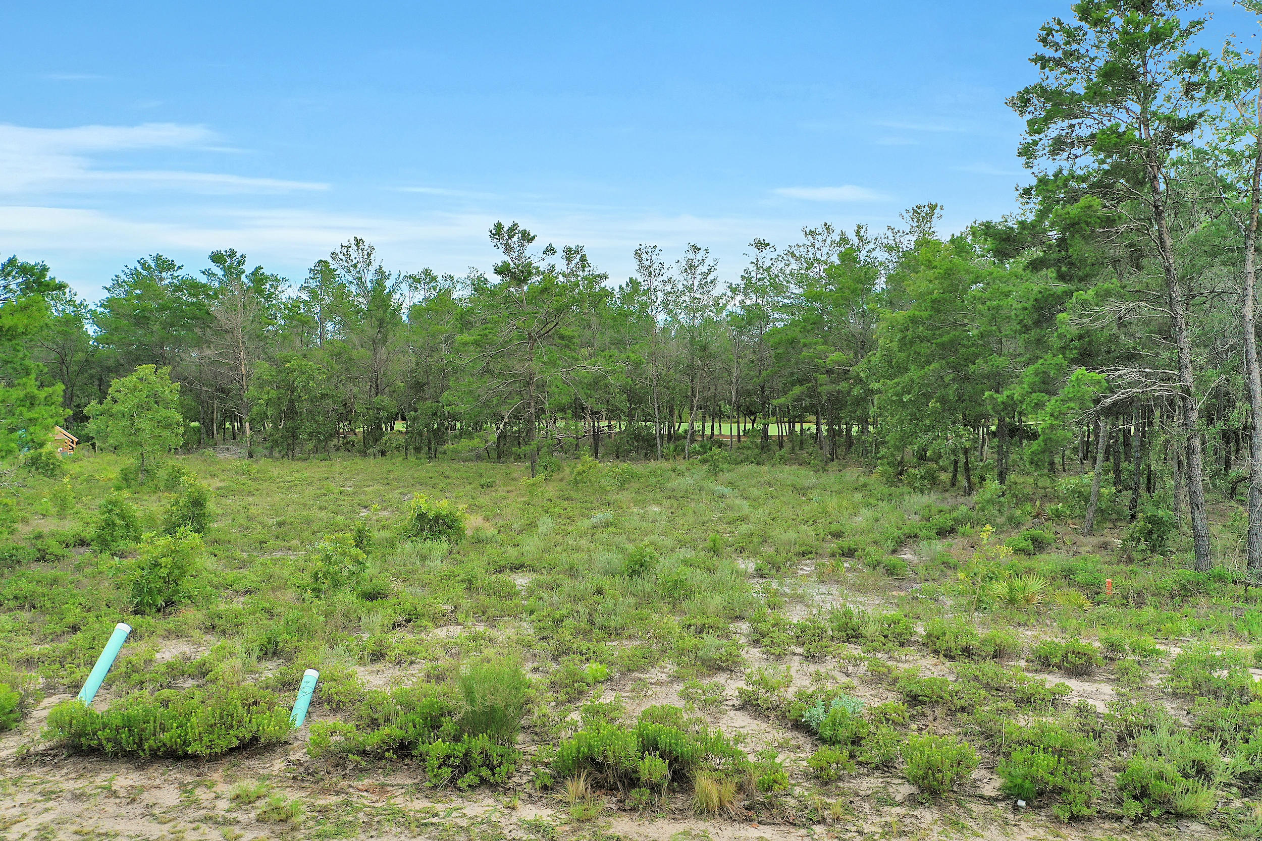 Wild Heron Phase XIV - Land