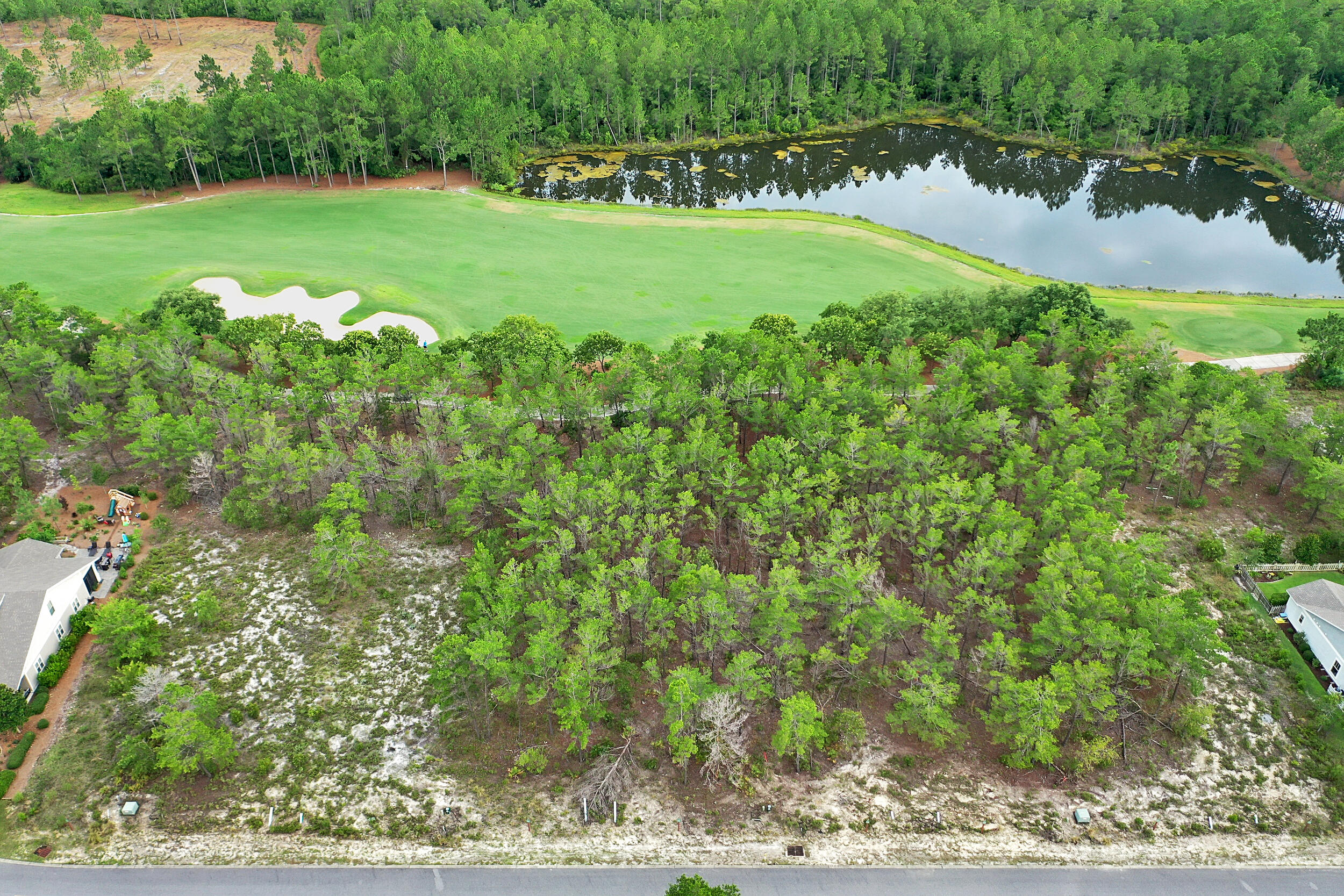 Wild Heron Phase XIV - Land