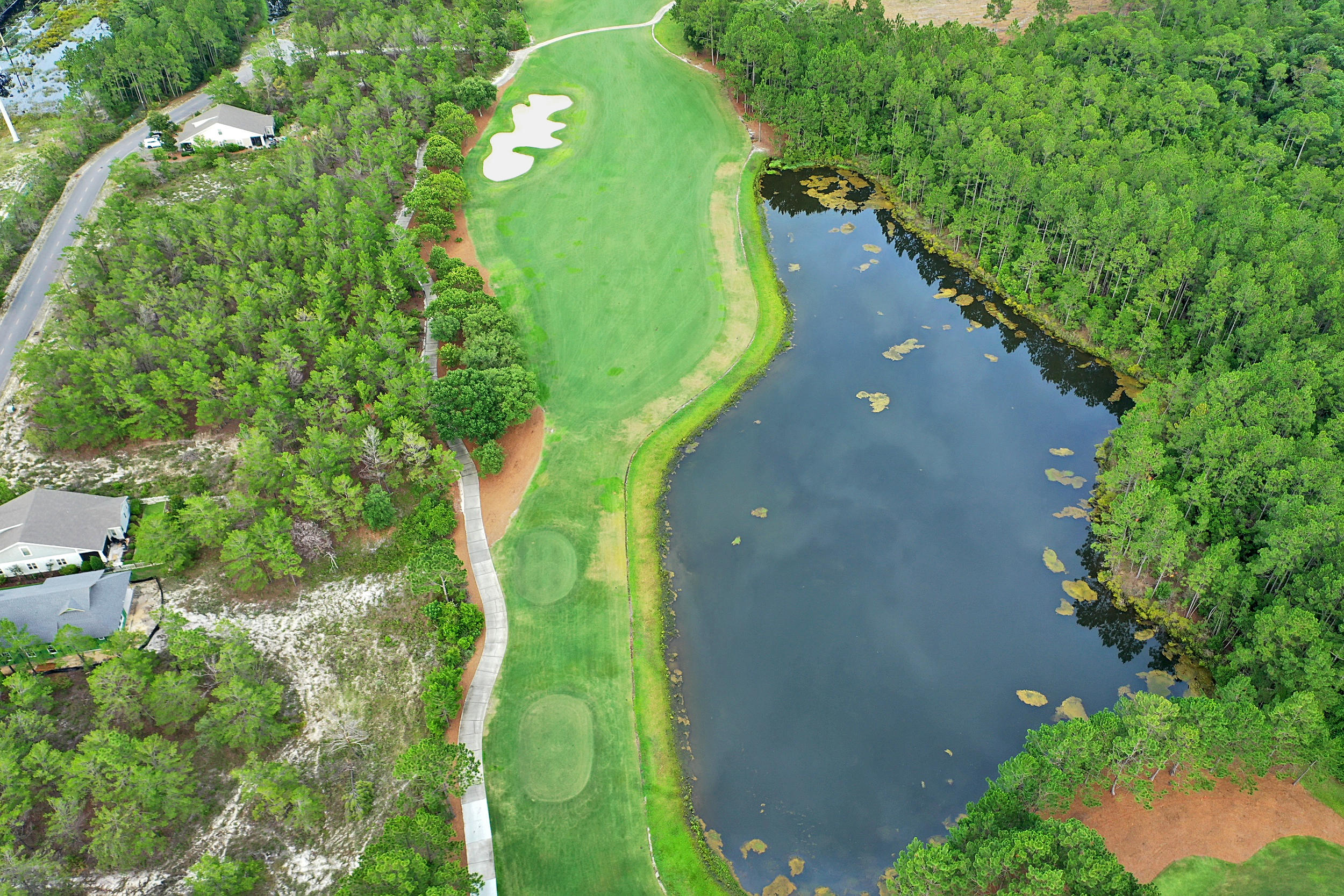 Wild Heron Phase XIV - Land