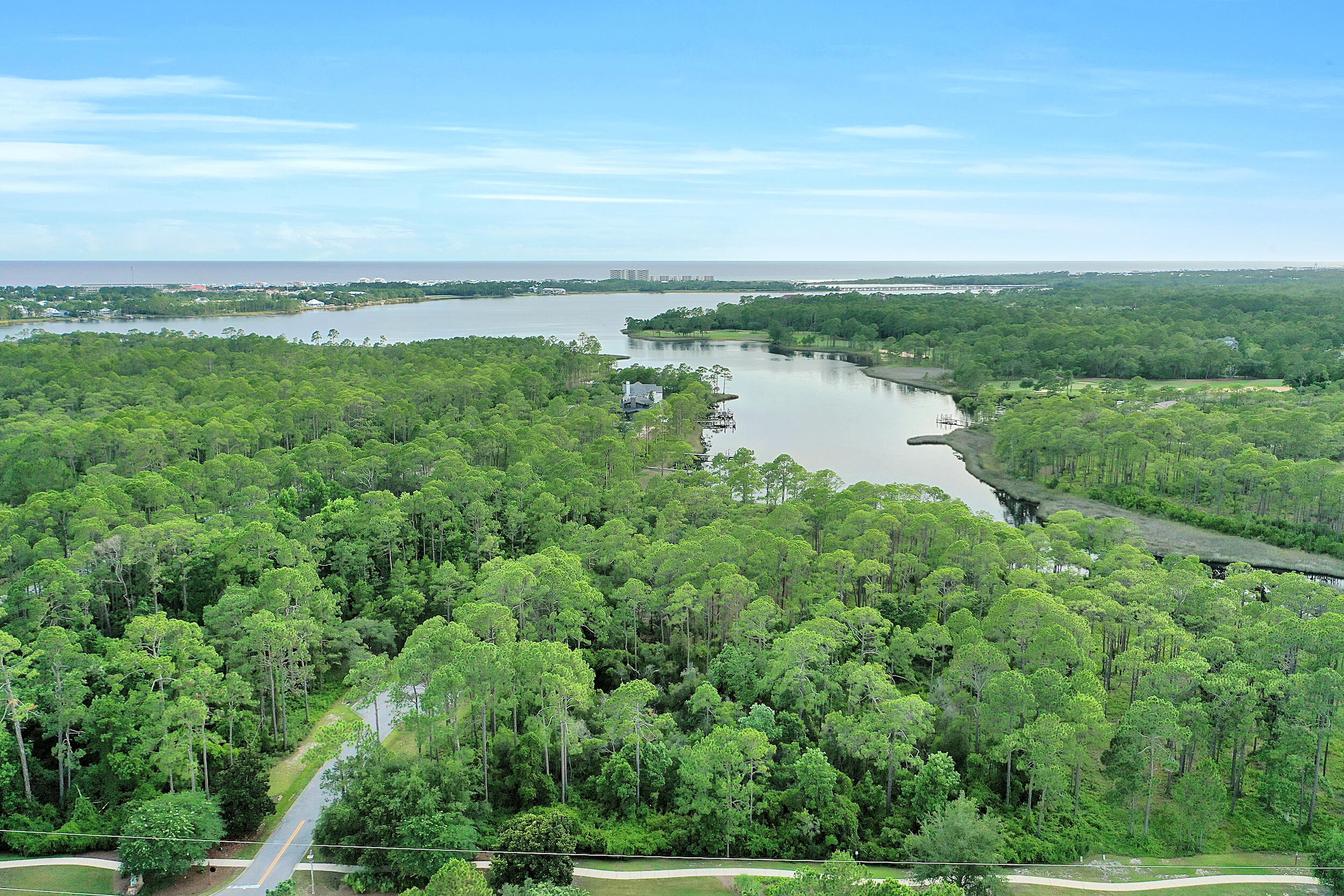 Wild Heron Phase XIV - Land