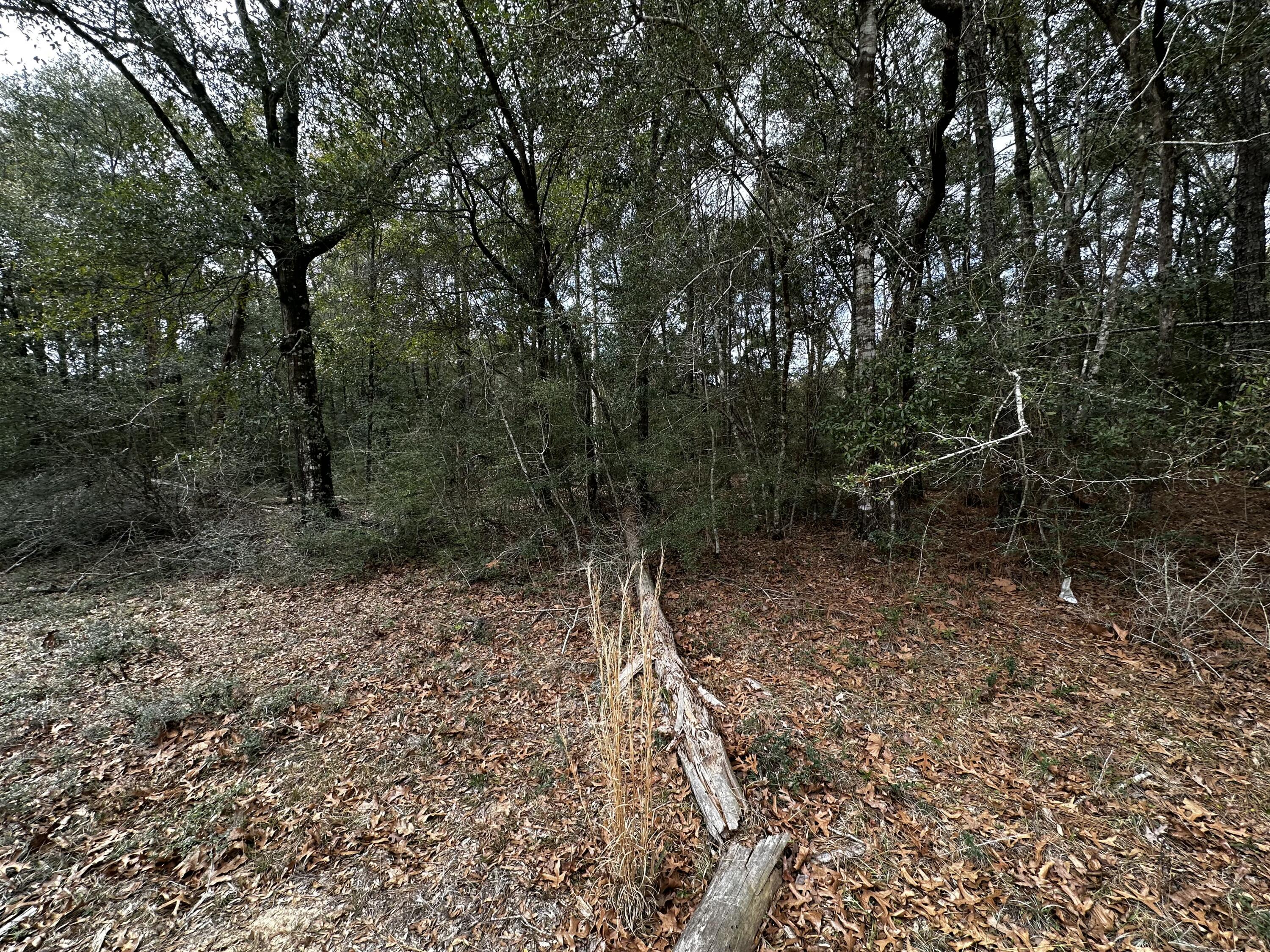 5 Lots Pineforest/Woodcliff/Oakcrest
