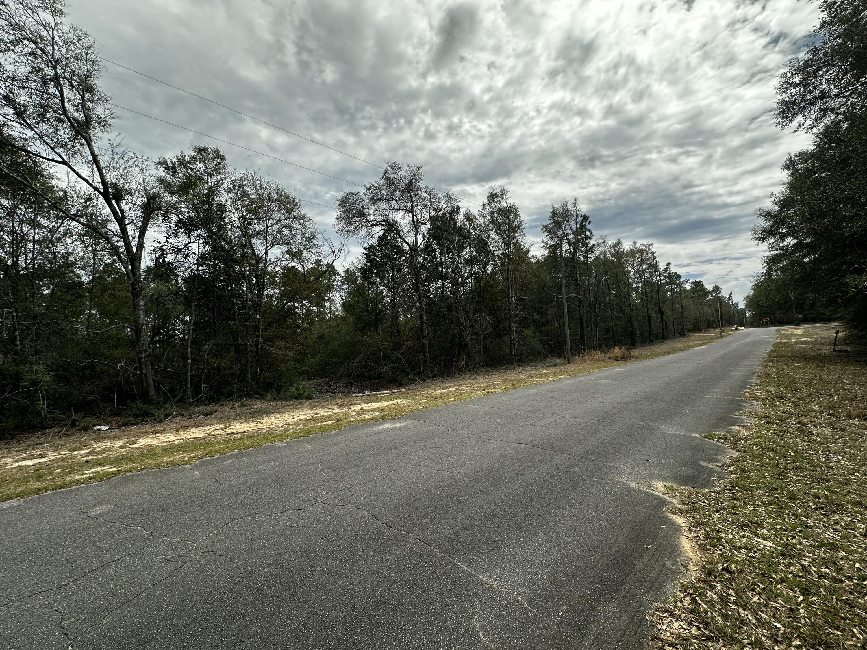 5 Lots Pineforest/Woodcliff/Oakcrest