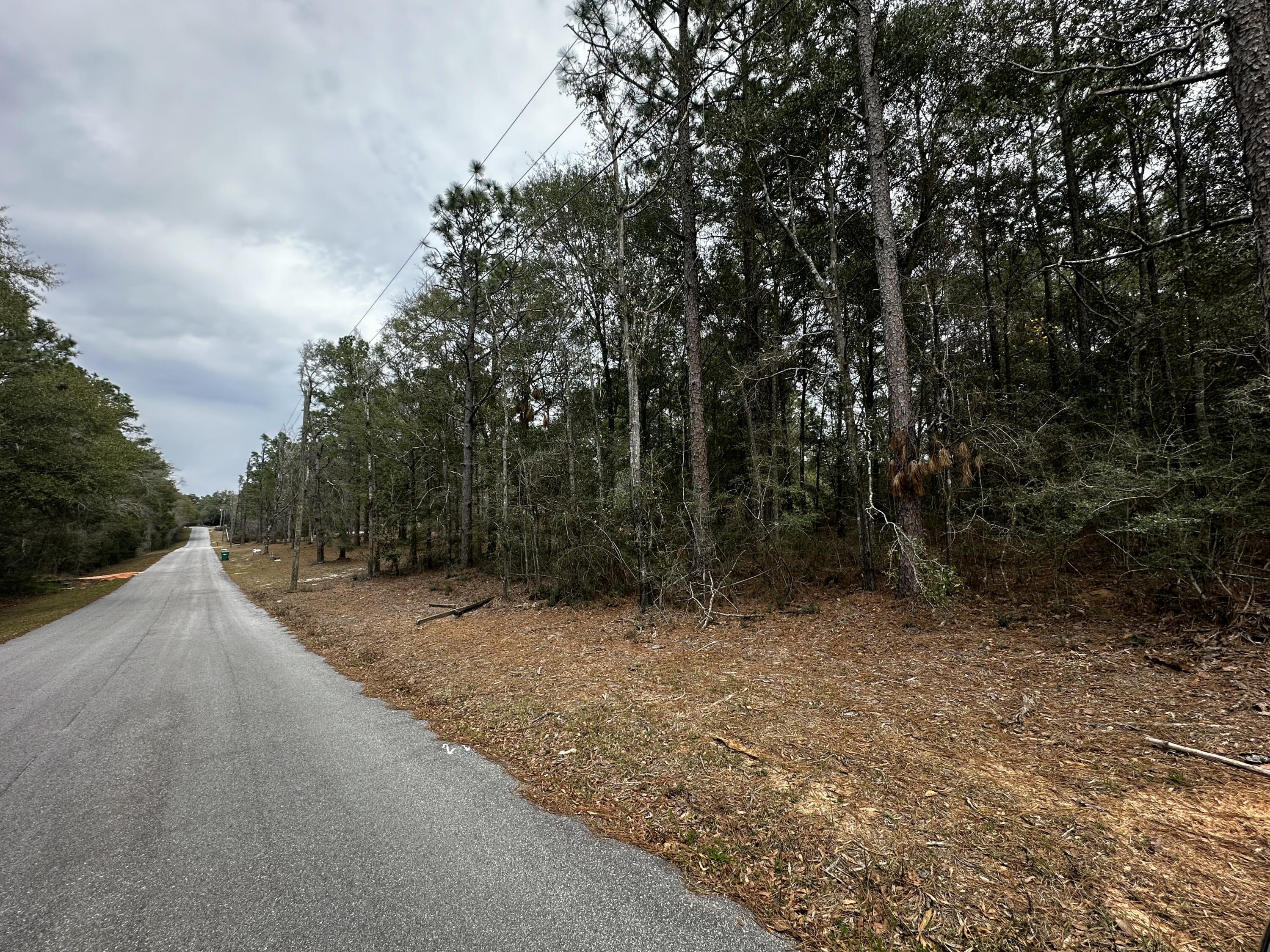 5 Lots Pineforest/Woodcliff/Oakcrest
