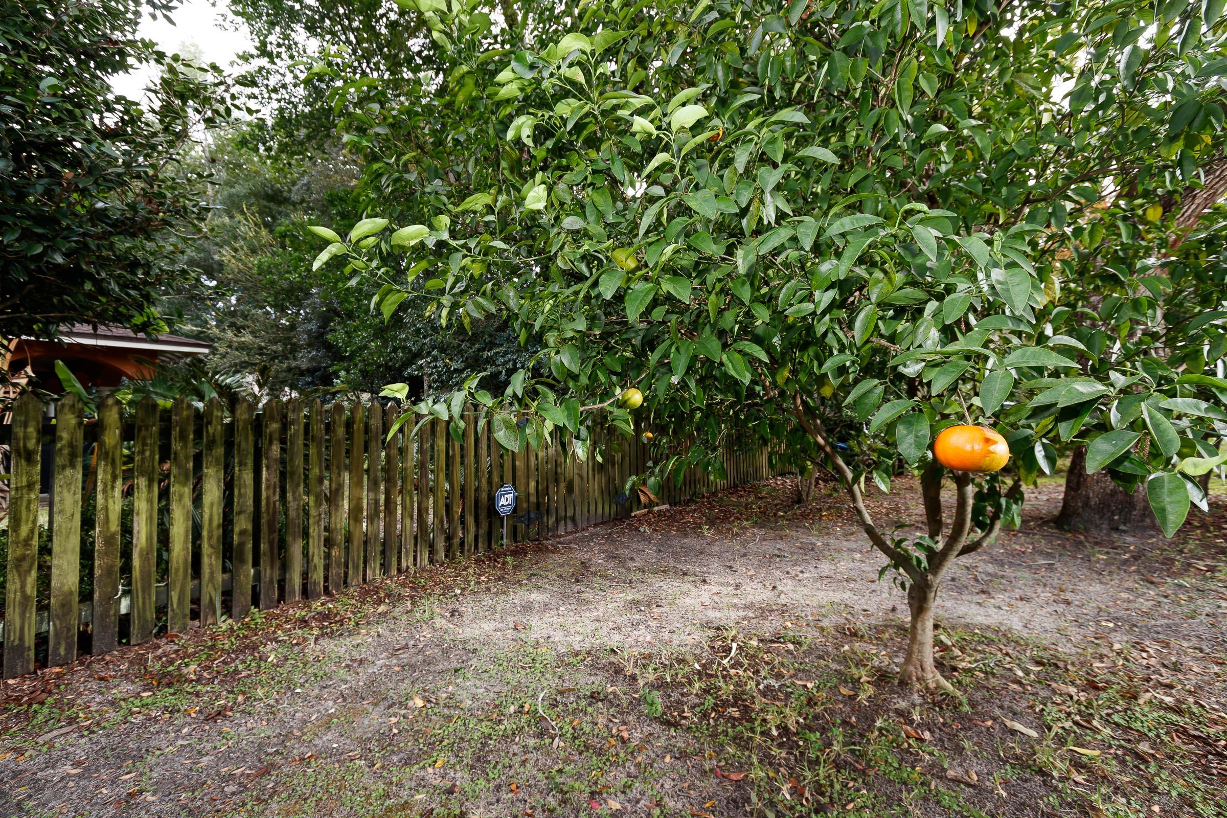 ELLIOTT POINT - Residential