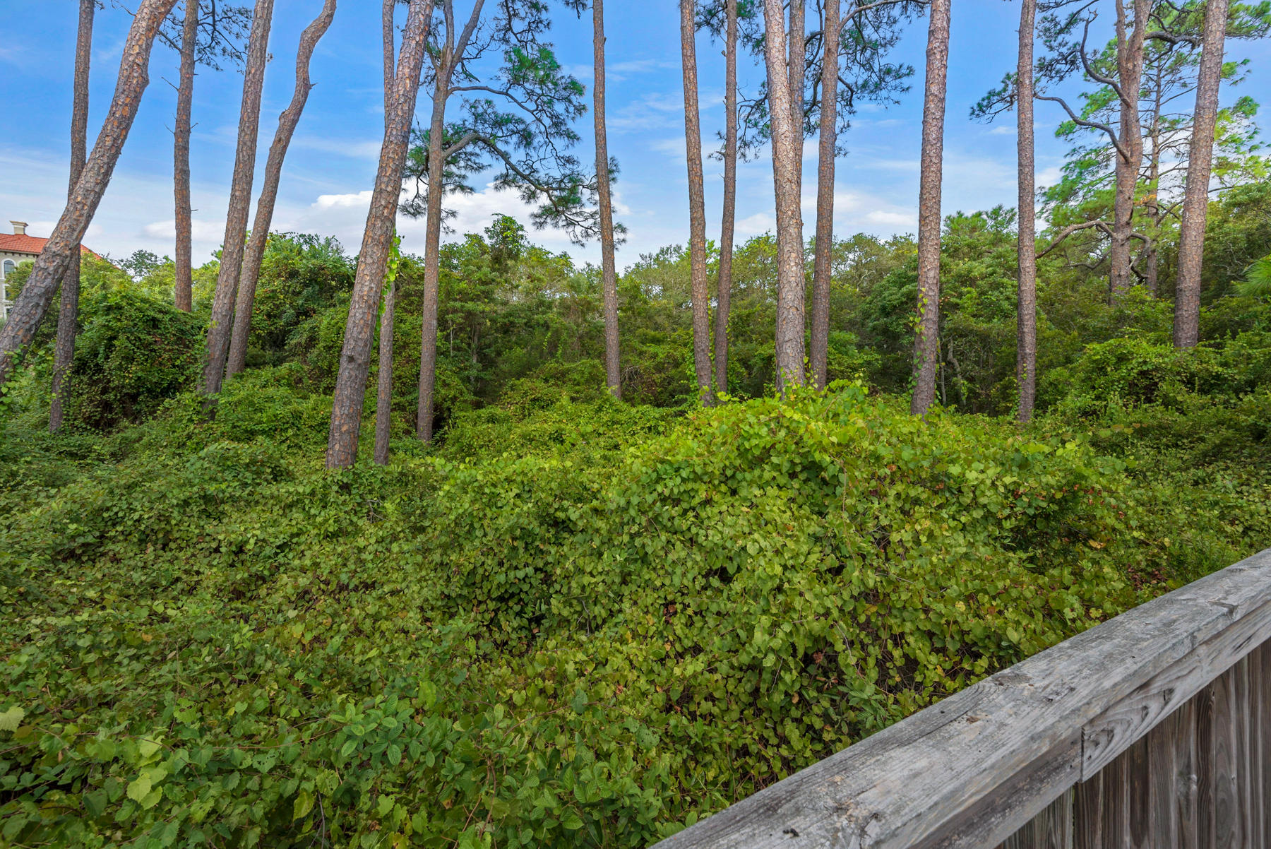 Beach Highland - Land