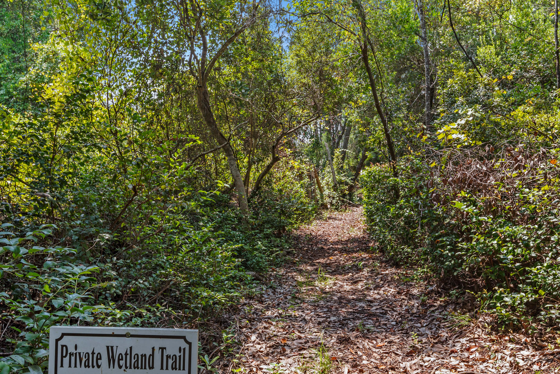 Beach Highland - Land